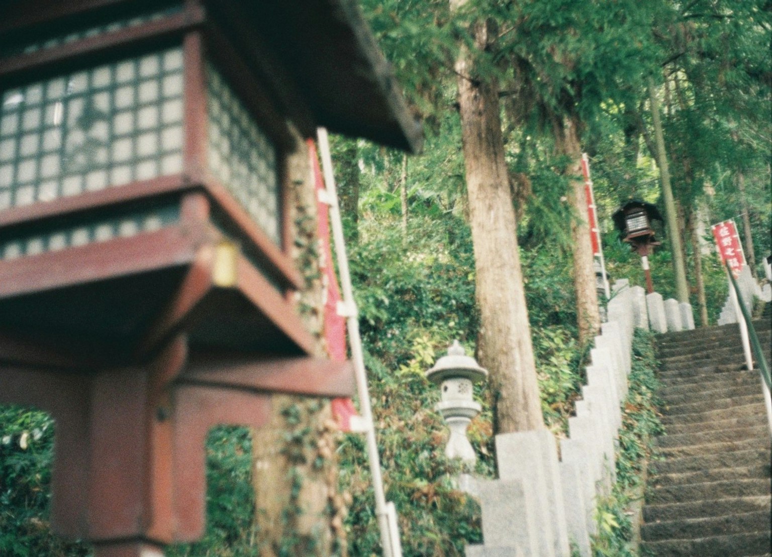 郁郁葱葱的神社环境中石阶和灯笼的风景