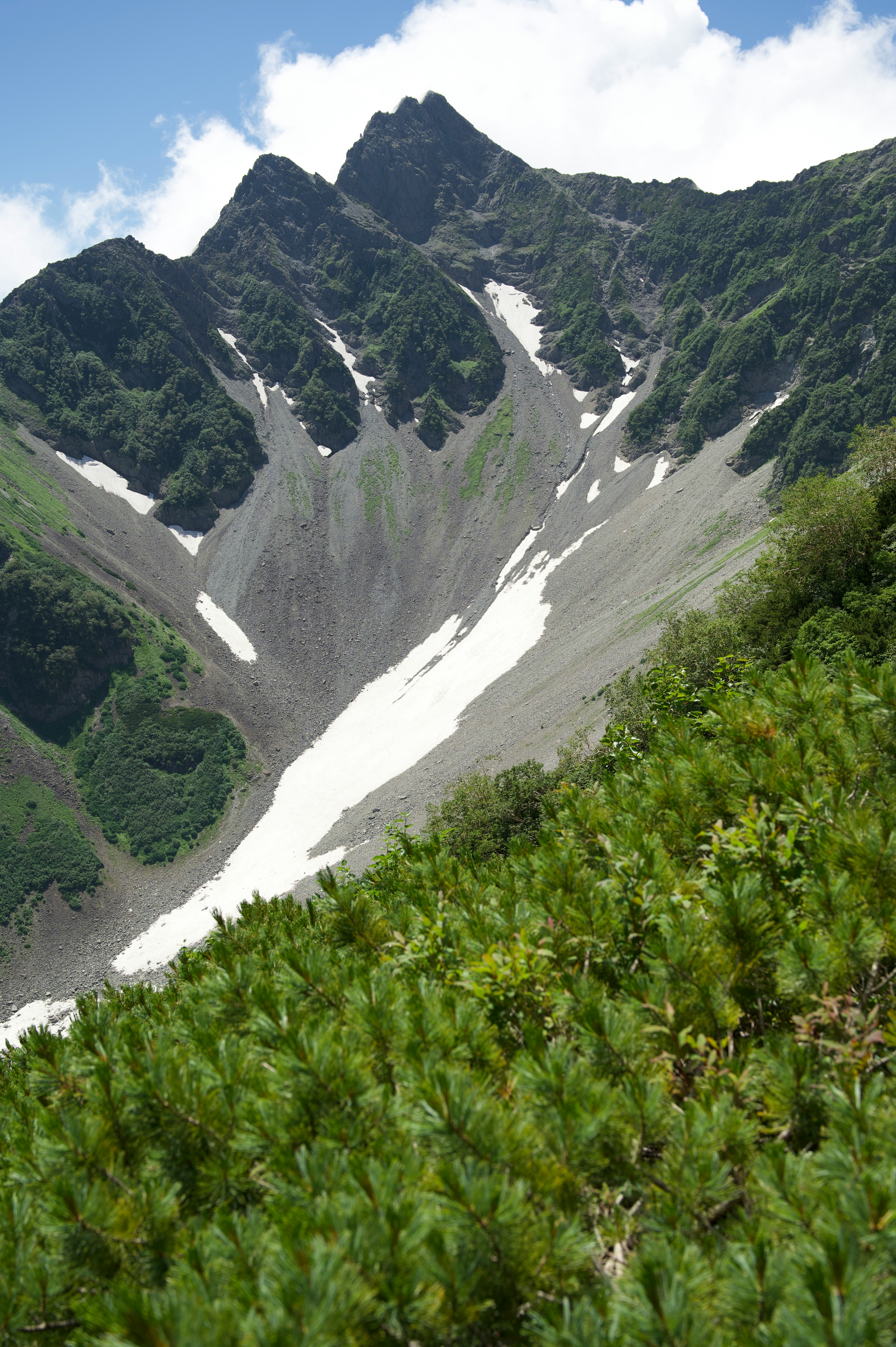緑の斜面から望む雪の残る山の谷筋