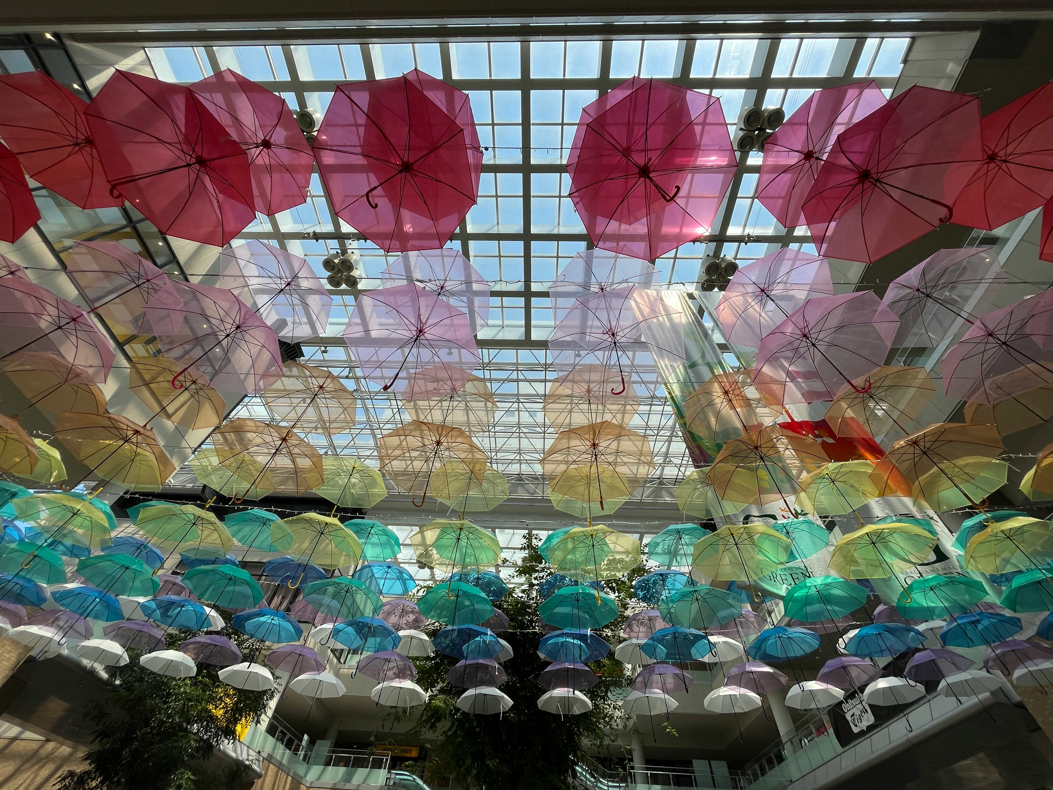 丸亀商店街のアンブレラスカイの下で並ぶ色とりどりの傘