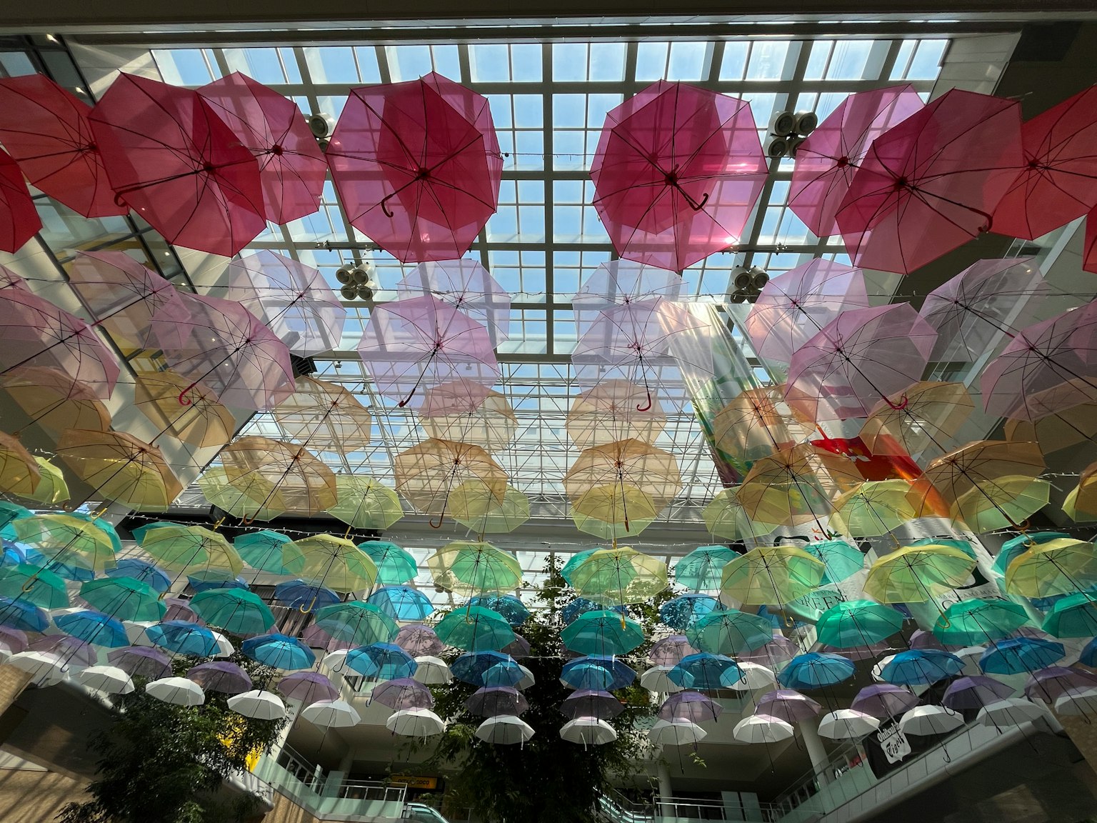 Colorful umbrellas hanging from the ceiling in a bright space