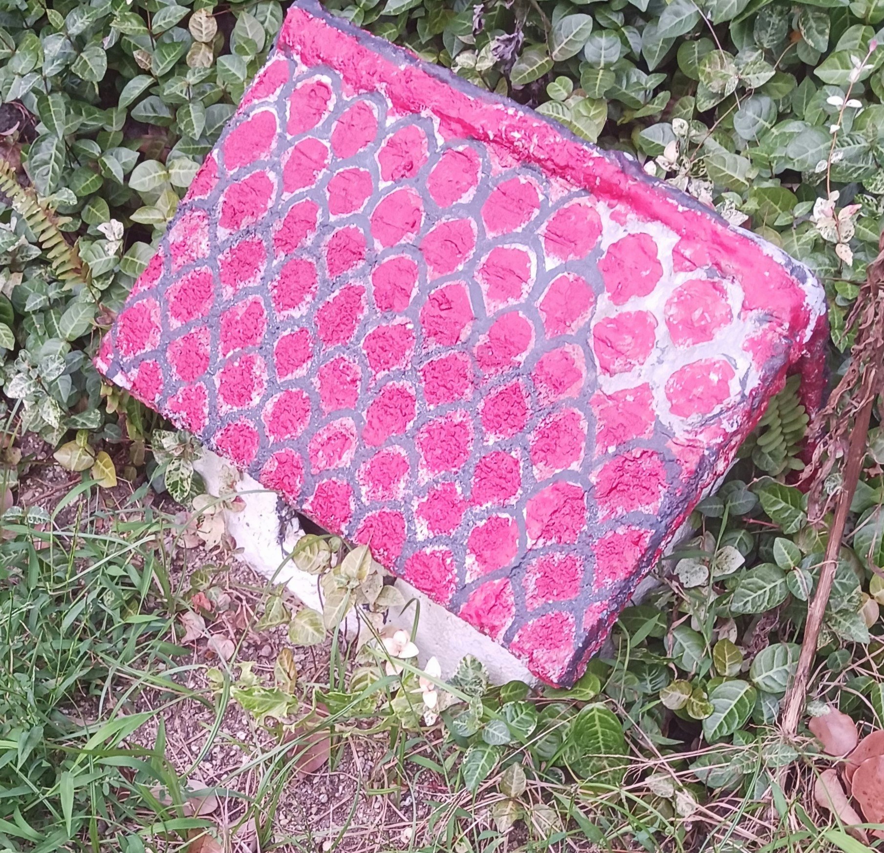 草むらに埋もれたピンクの模様入り石