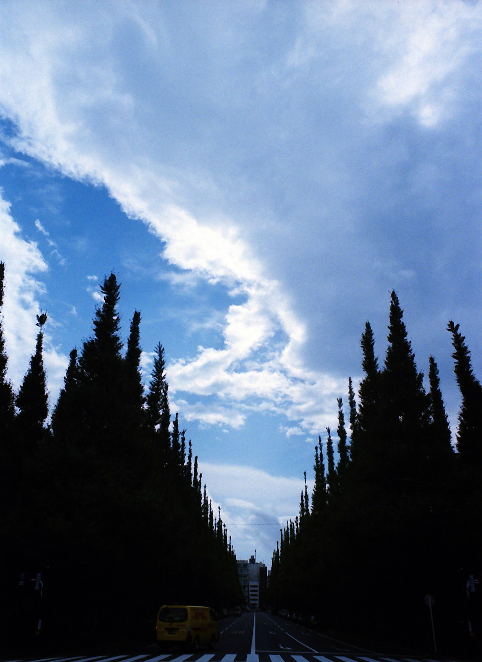 Scenic view of blue sky with white clouds lined by tall trees along a straight road