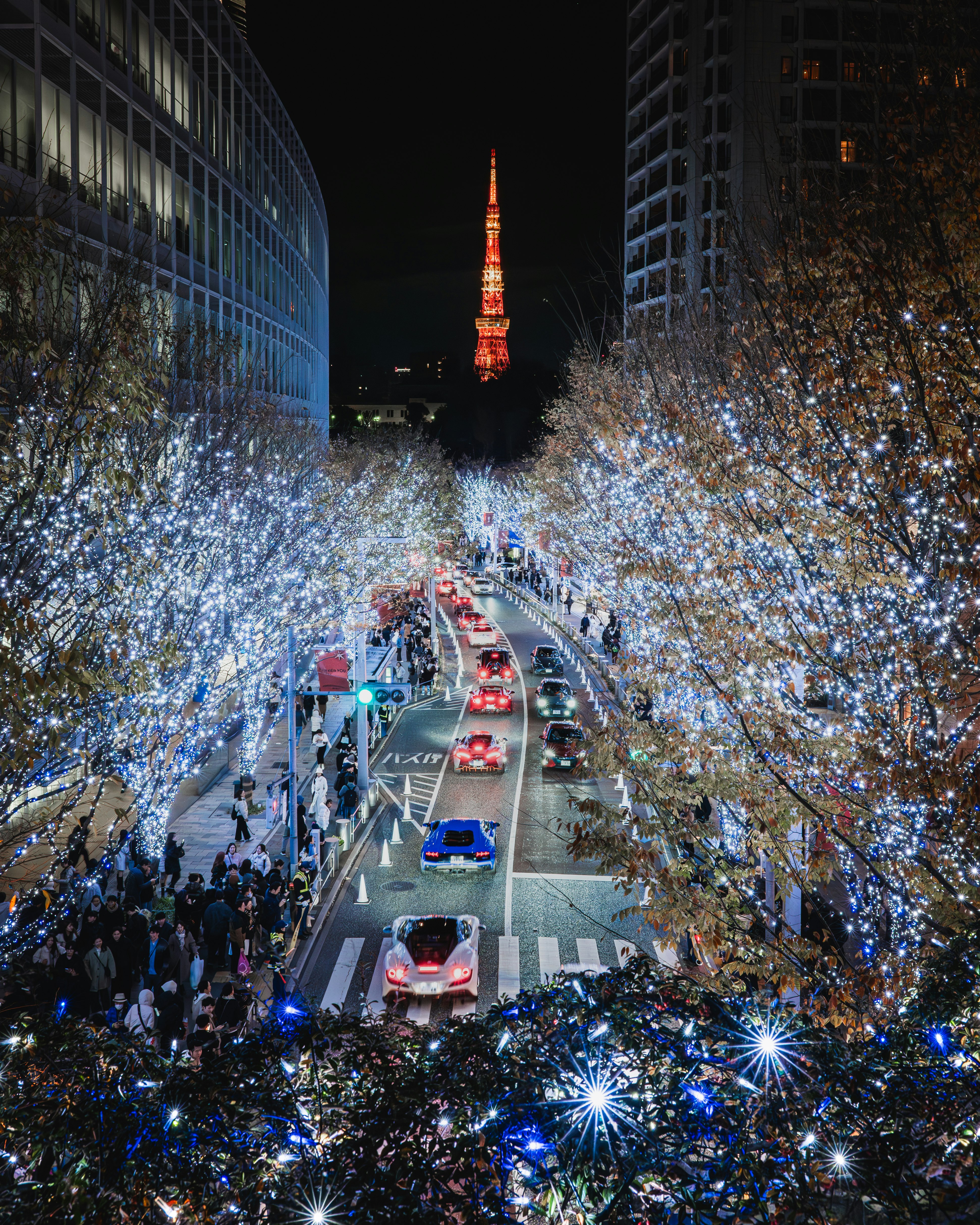 六本木の街路に舞うイルミネーションの光と東京タワーの夜景