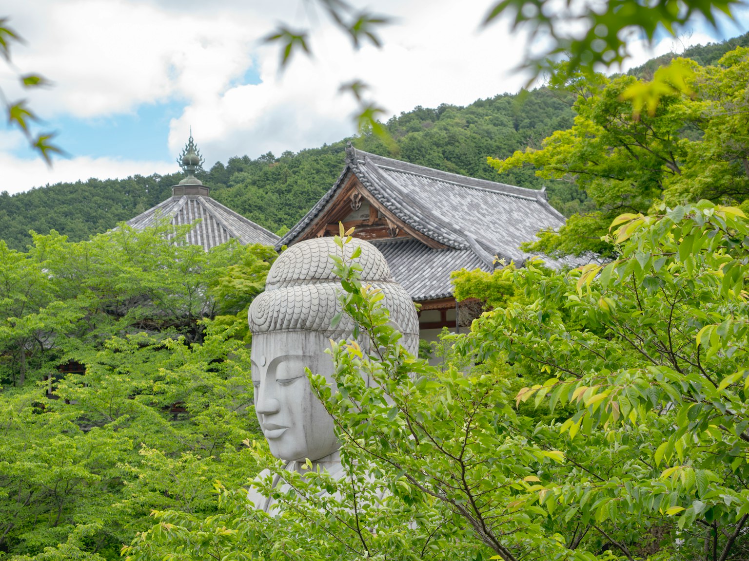 Eine große Buddha-Statue, umgeben von Grün, mit traditionellen Gebäuden im Hintergrund
