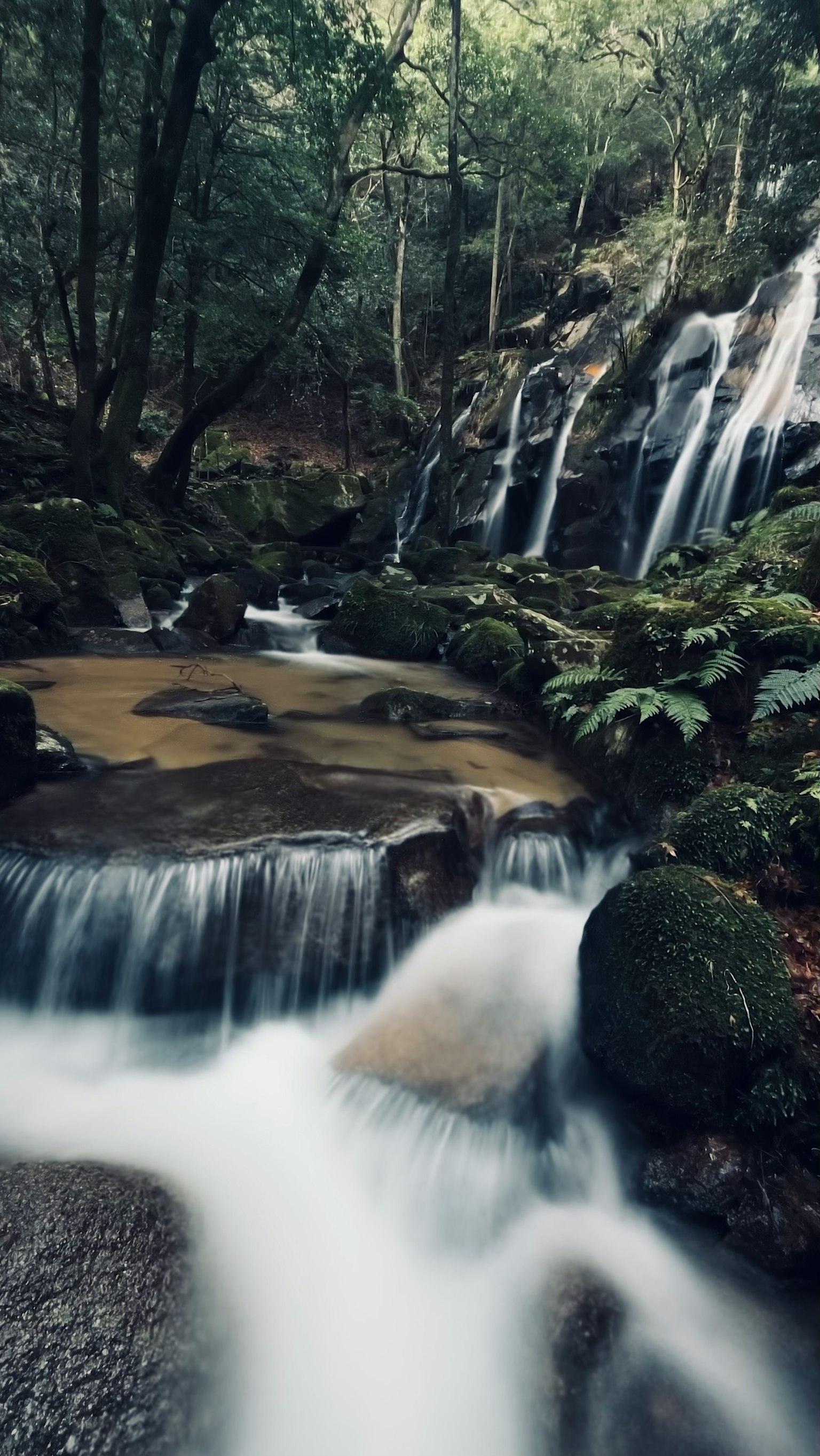 Pemandangan air terjun yang indah dikelilingi hutan lebat air mengalir dan batu