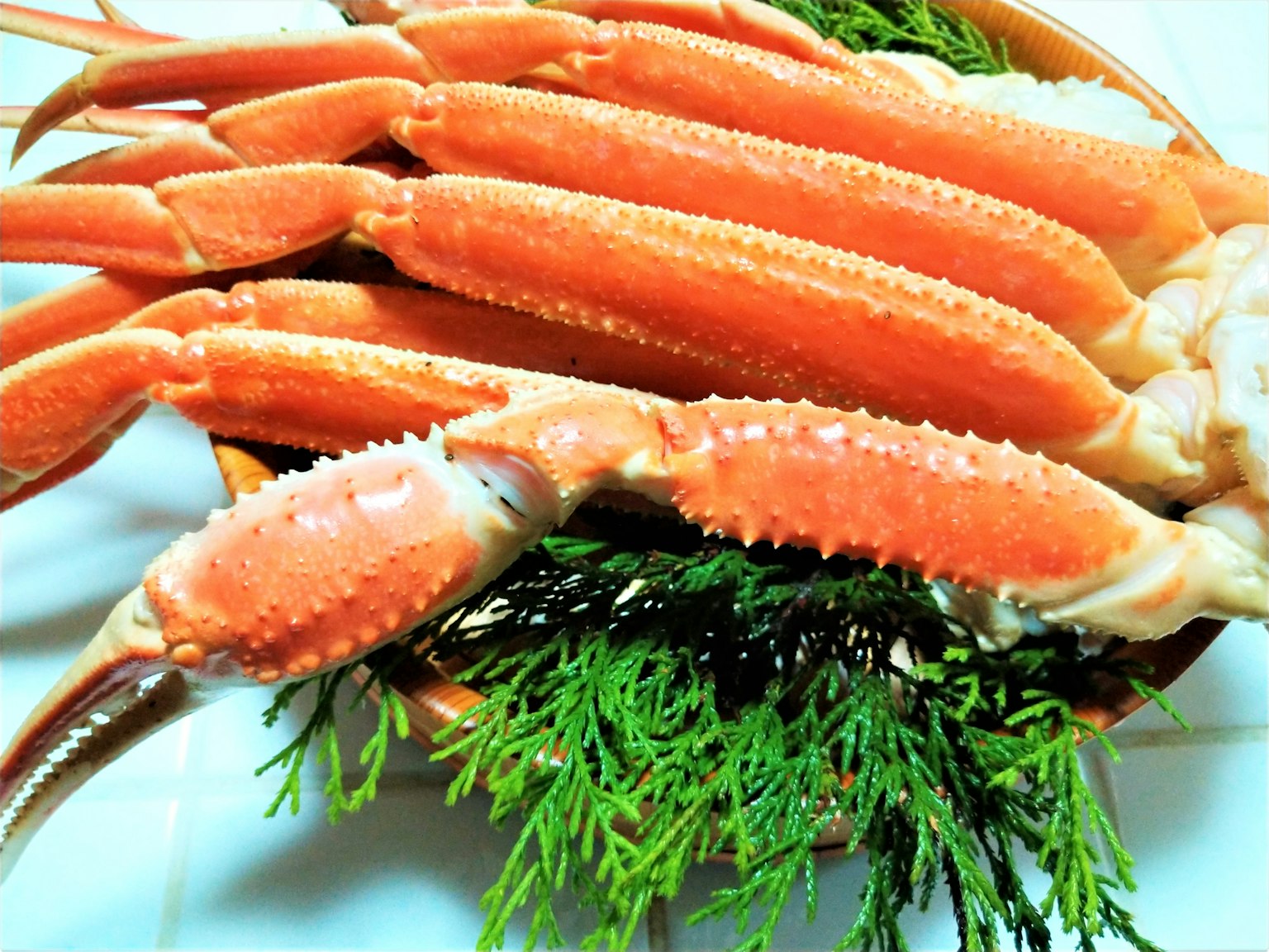 Des crabes frais disposés sur un feuillage vert