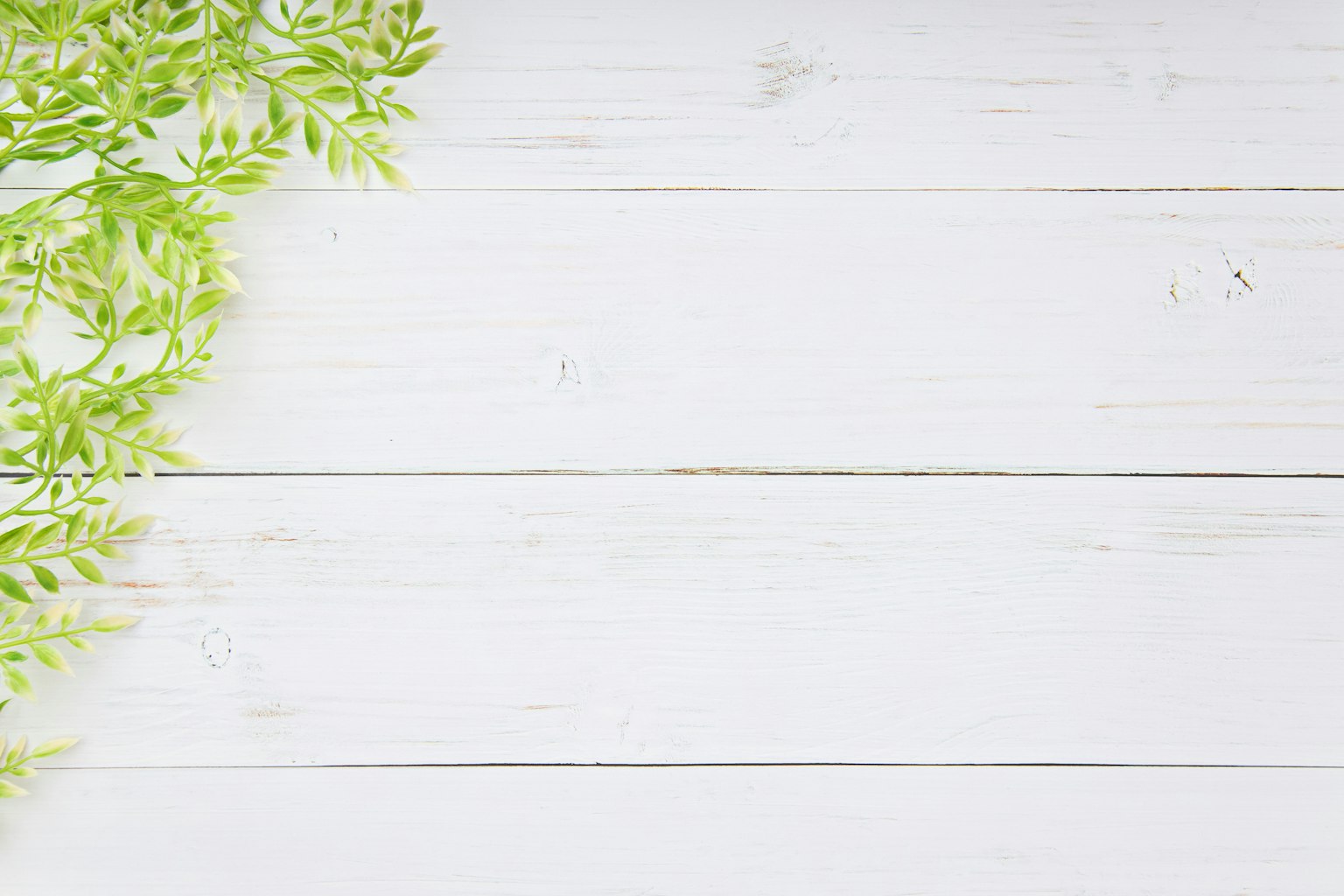 Simple background with green leaves on a white wooden table