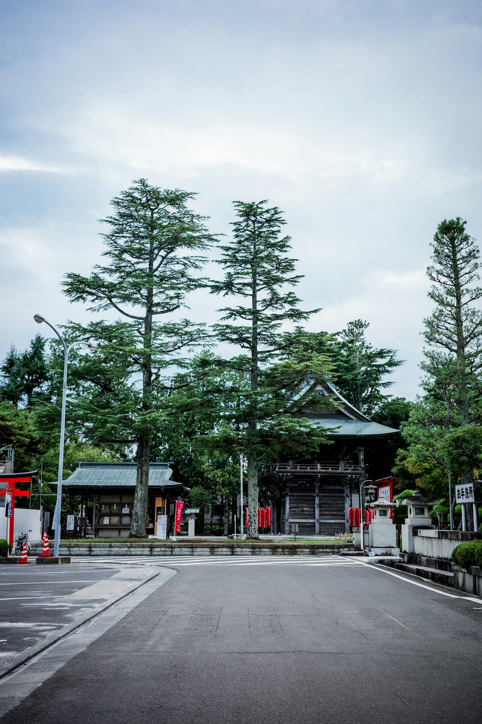 宁静的神社街道与郁郁葱葱的绿树的风景