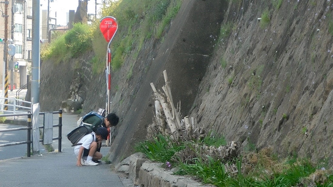 崖沿いの遊歩道で自転車を押す人のある風景