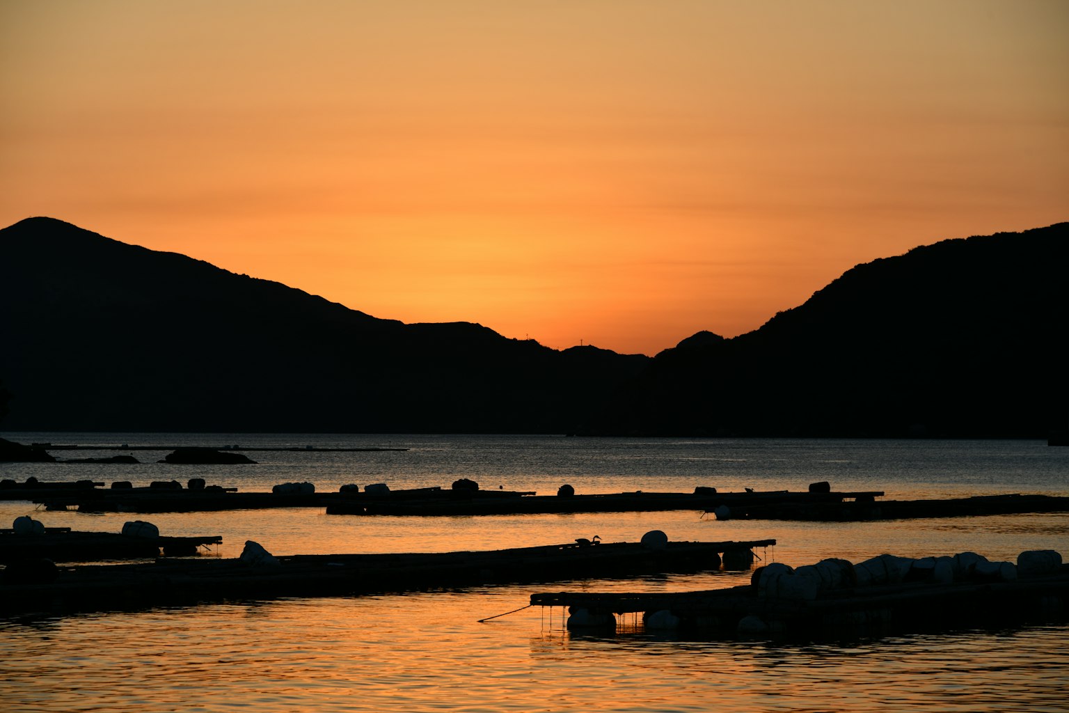photo-HSUciqUWvYegpdNZmVwg-image