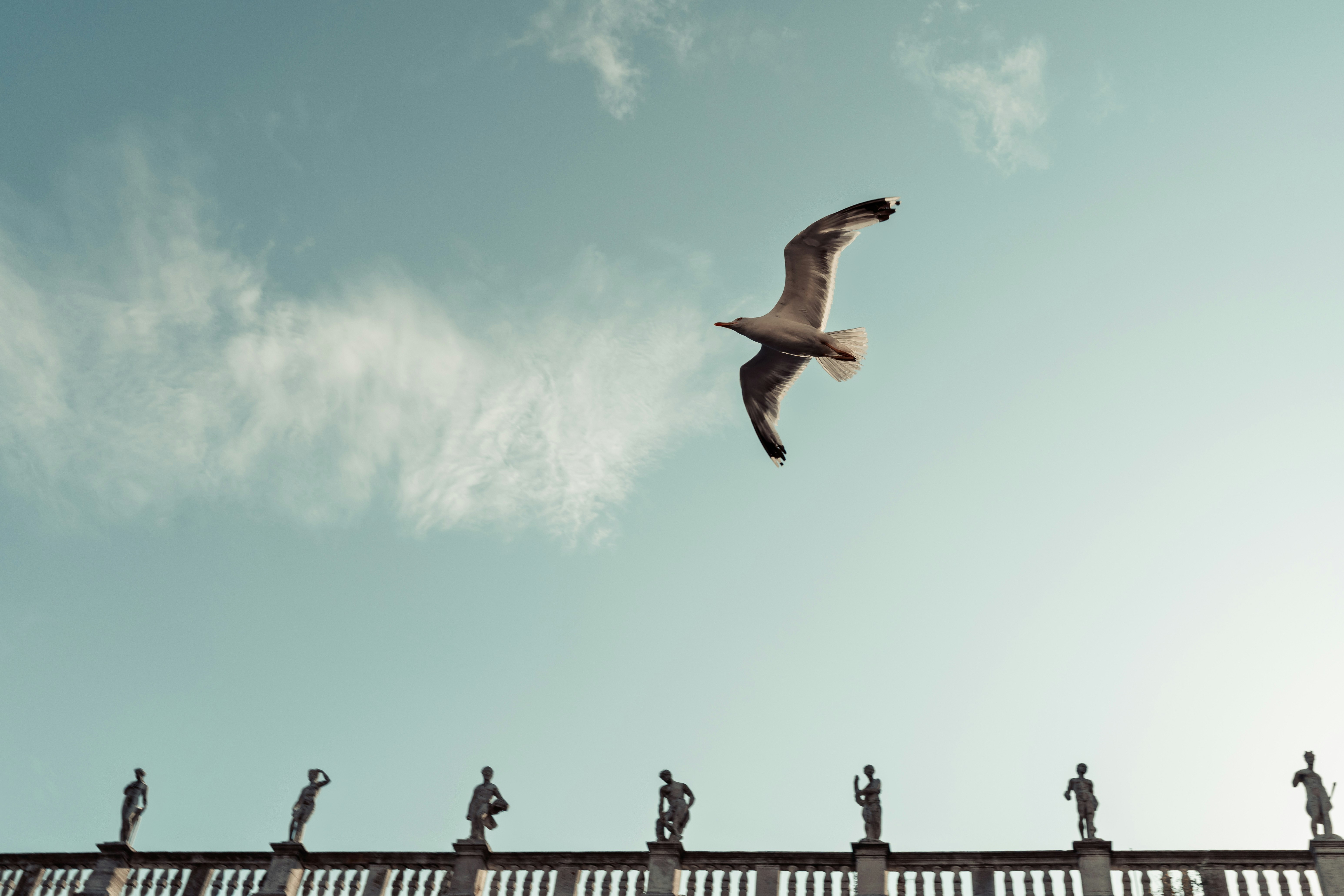 Blick auf Venedig: Vögel im Flug über Silhouetten von Menschen