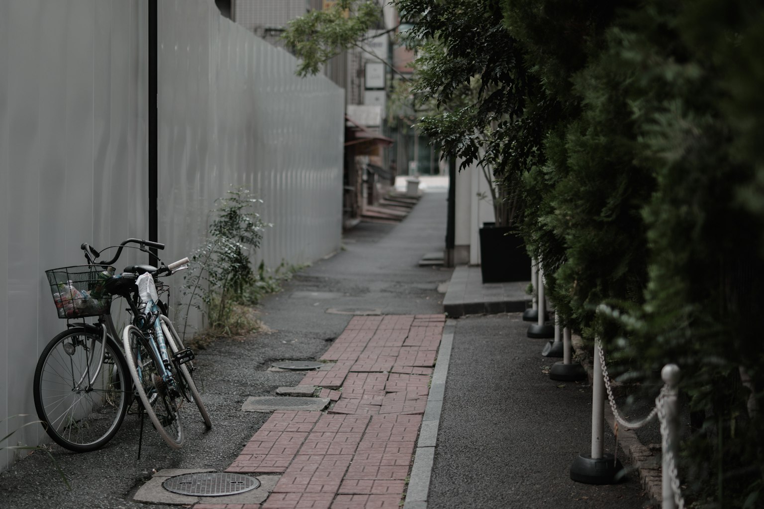 Narrow path with a parked bicycle and surrounding greenery