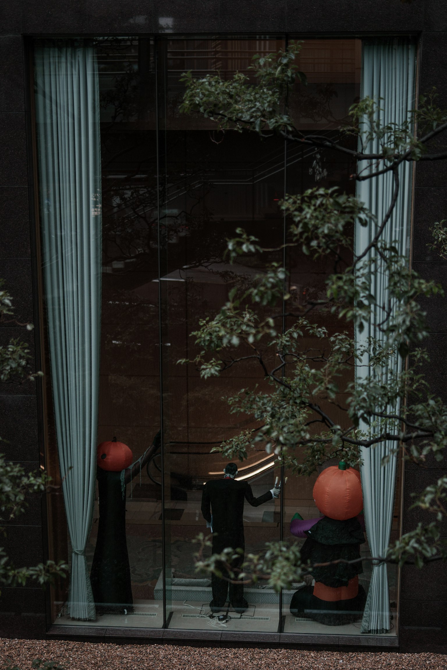 Scene featuring two figures by a window with green plants visible