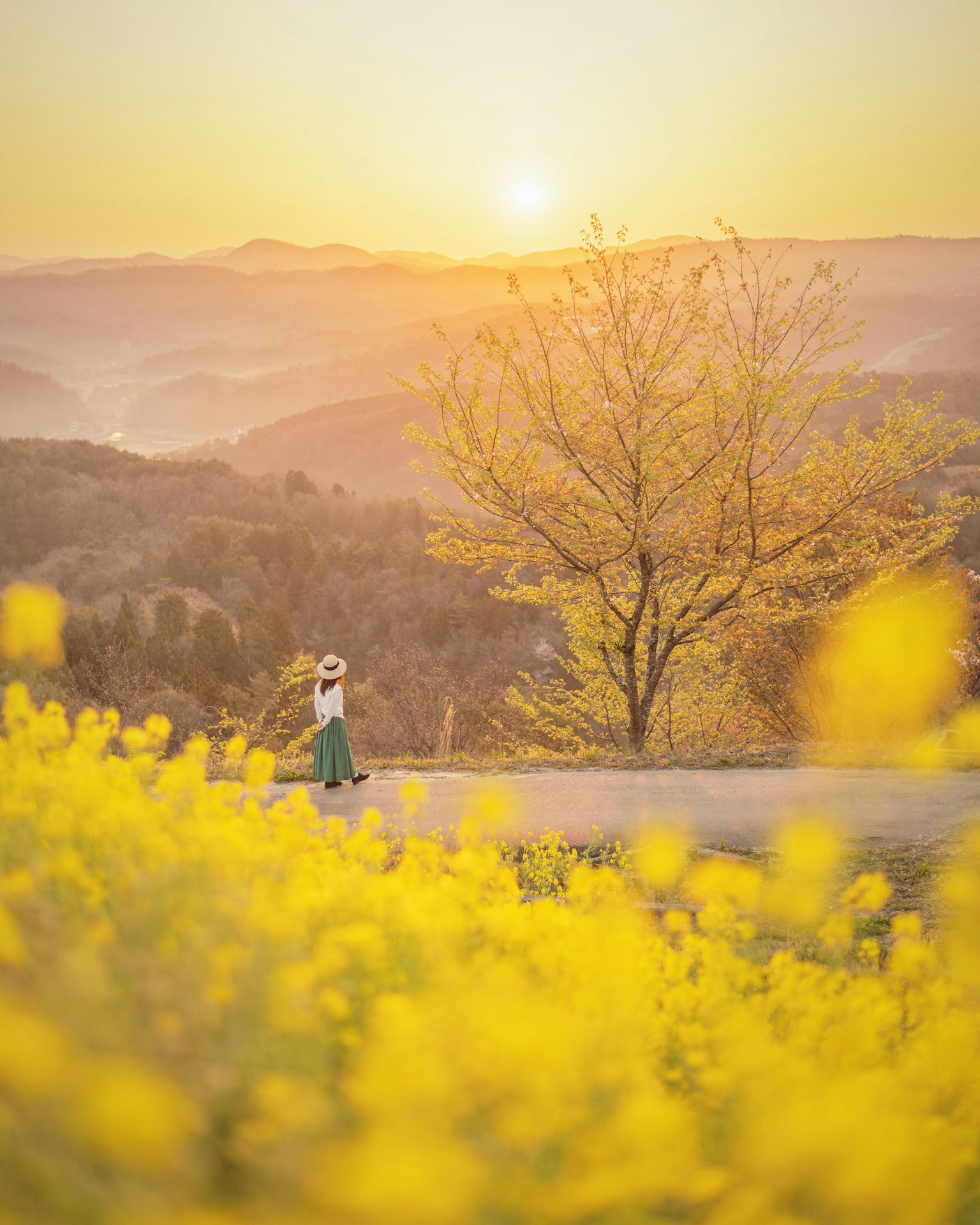 Femme marchant à travers un champ de fleurs jaunes avec un coucher de soleil en arrière-plan