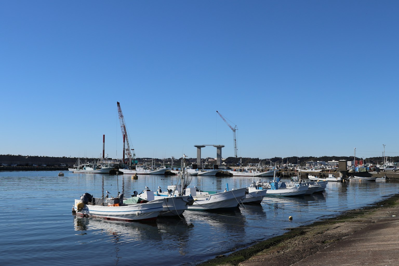 Calm harbor scene with small boats and cranes in the background