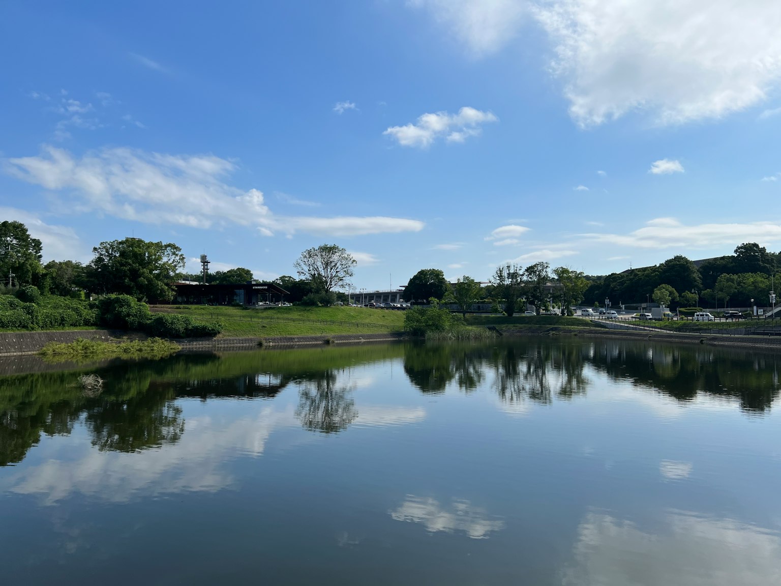 Cielo blu chiaro che si riflette sull'acqua calma erba verde e alberi