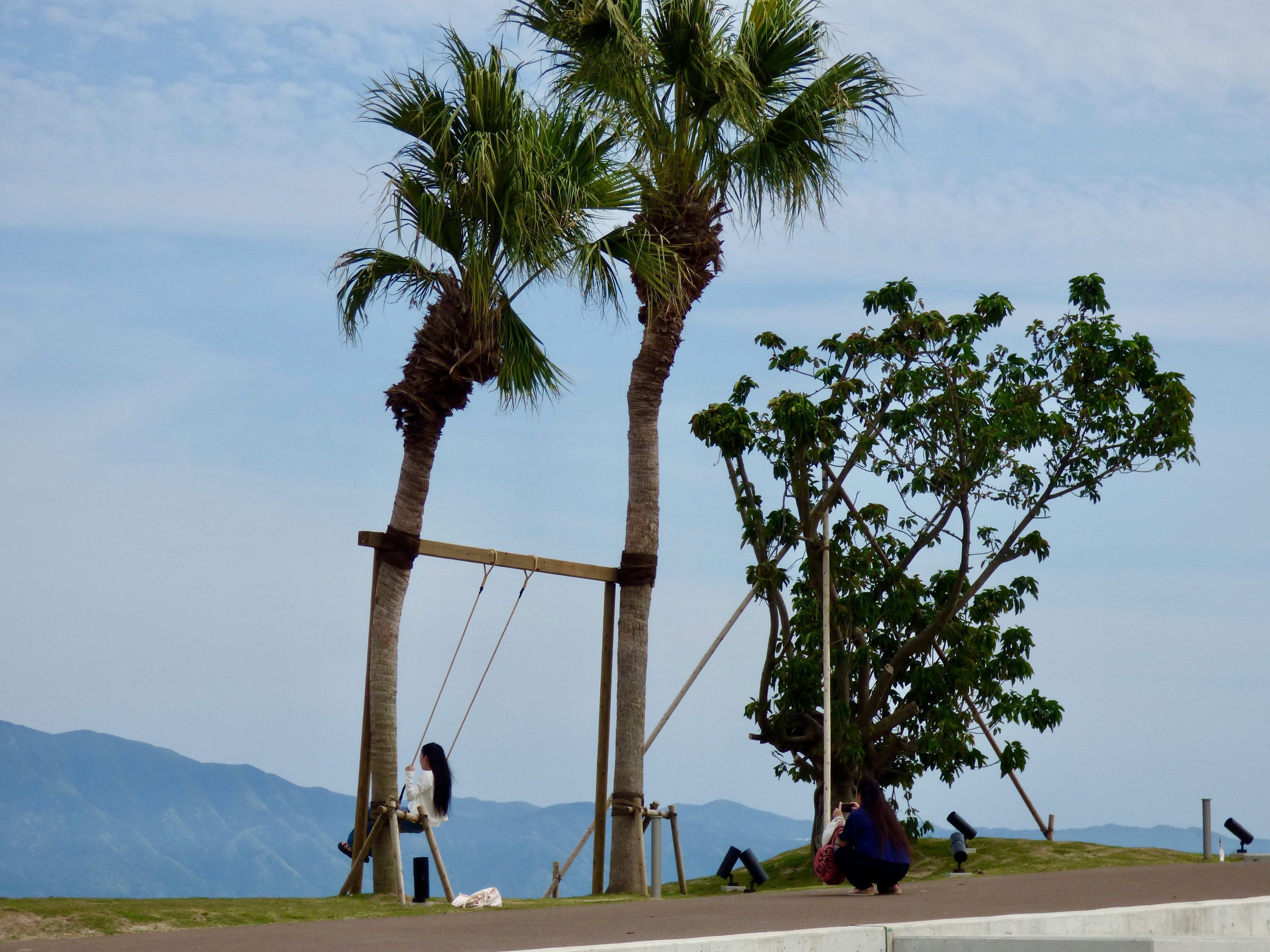 海辺の遊歩道でヤシの木とベンチが並ぶ風景
