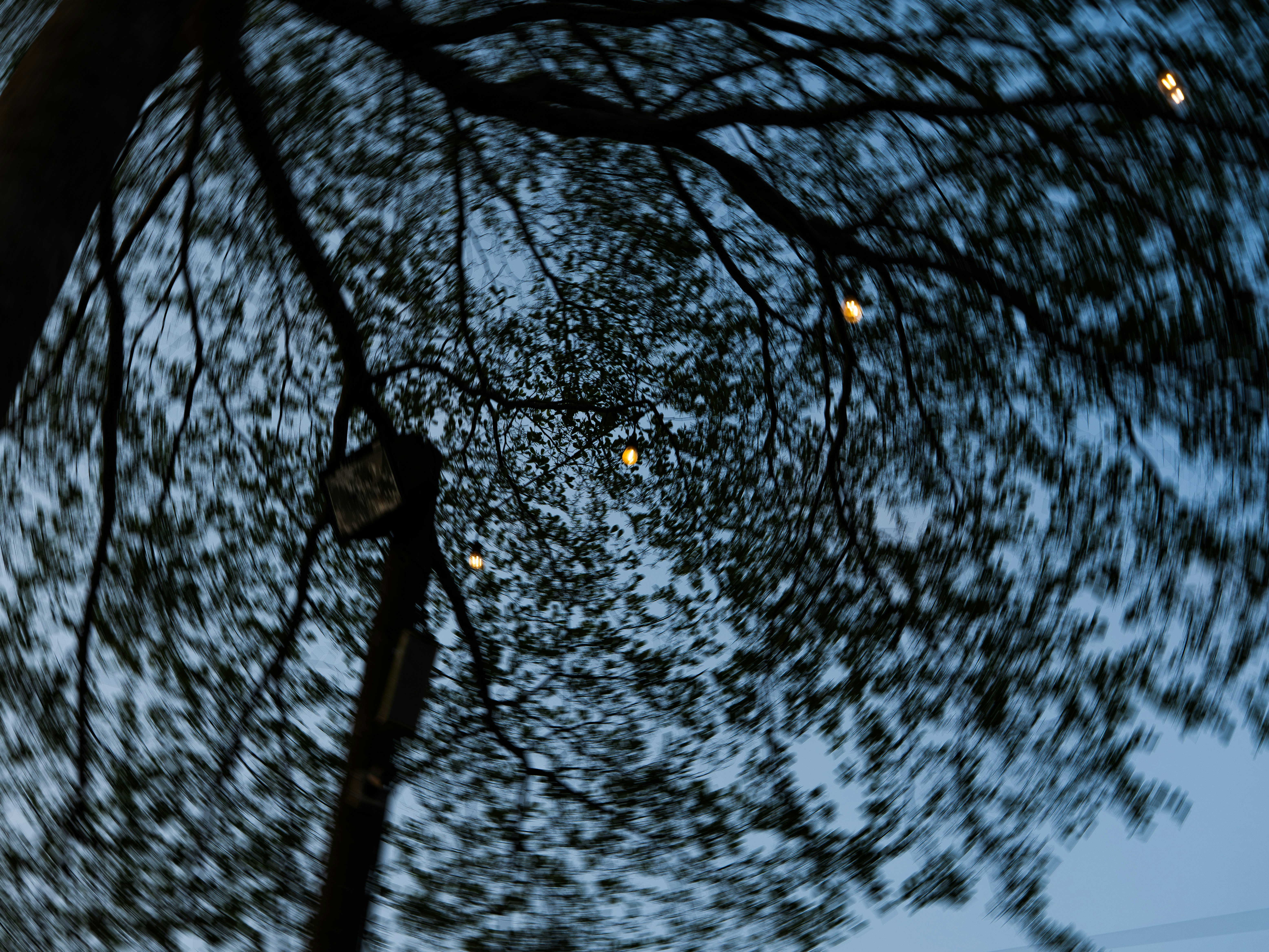rain falling across the sky seen through tree branches with streetlight glow
