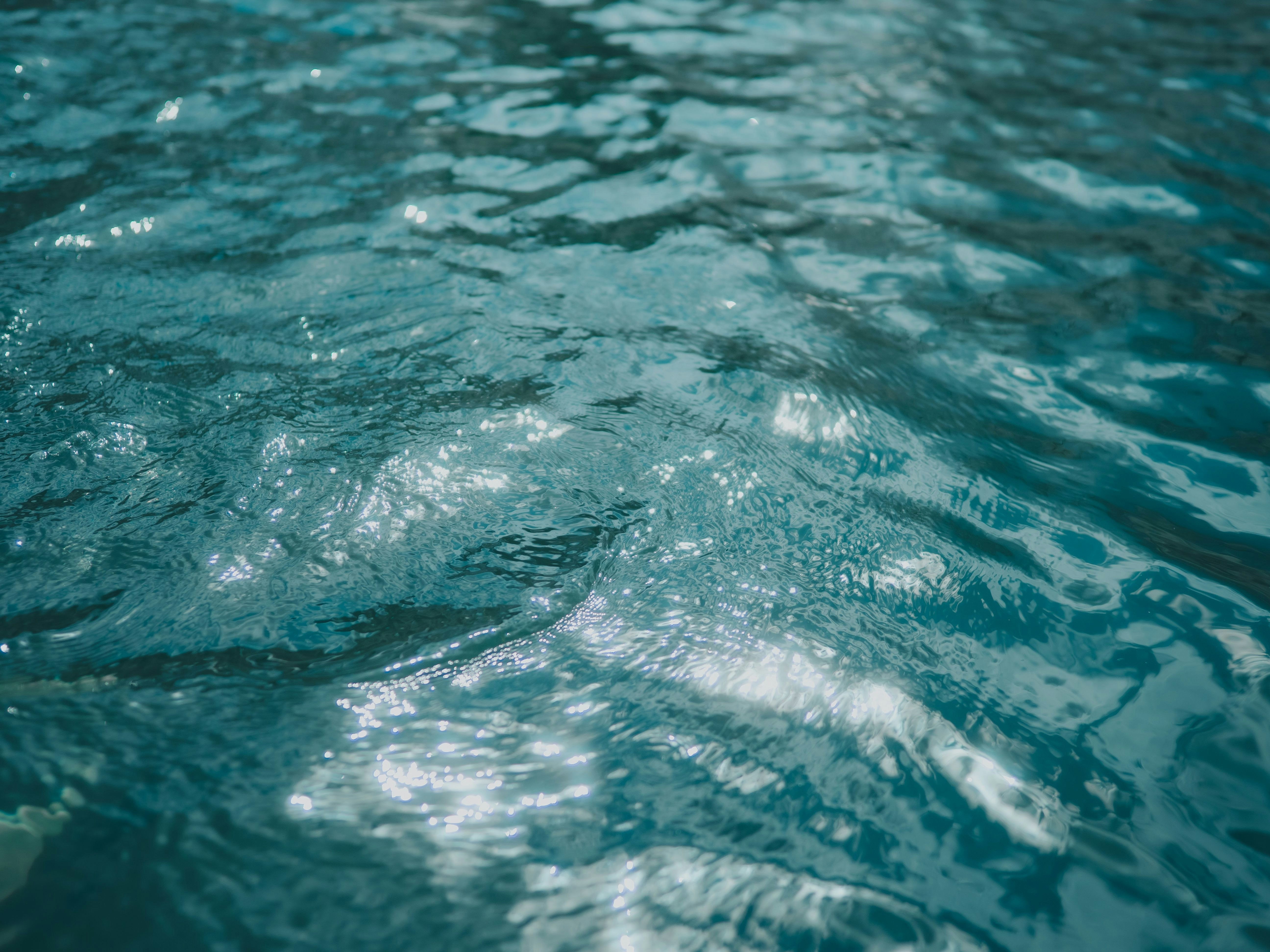 水面を泳ぐ魚のような影のある海の表情