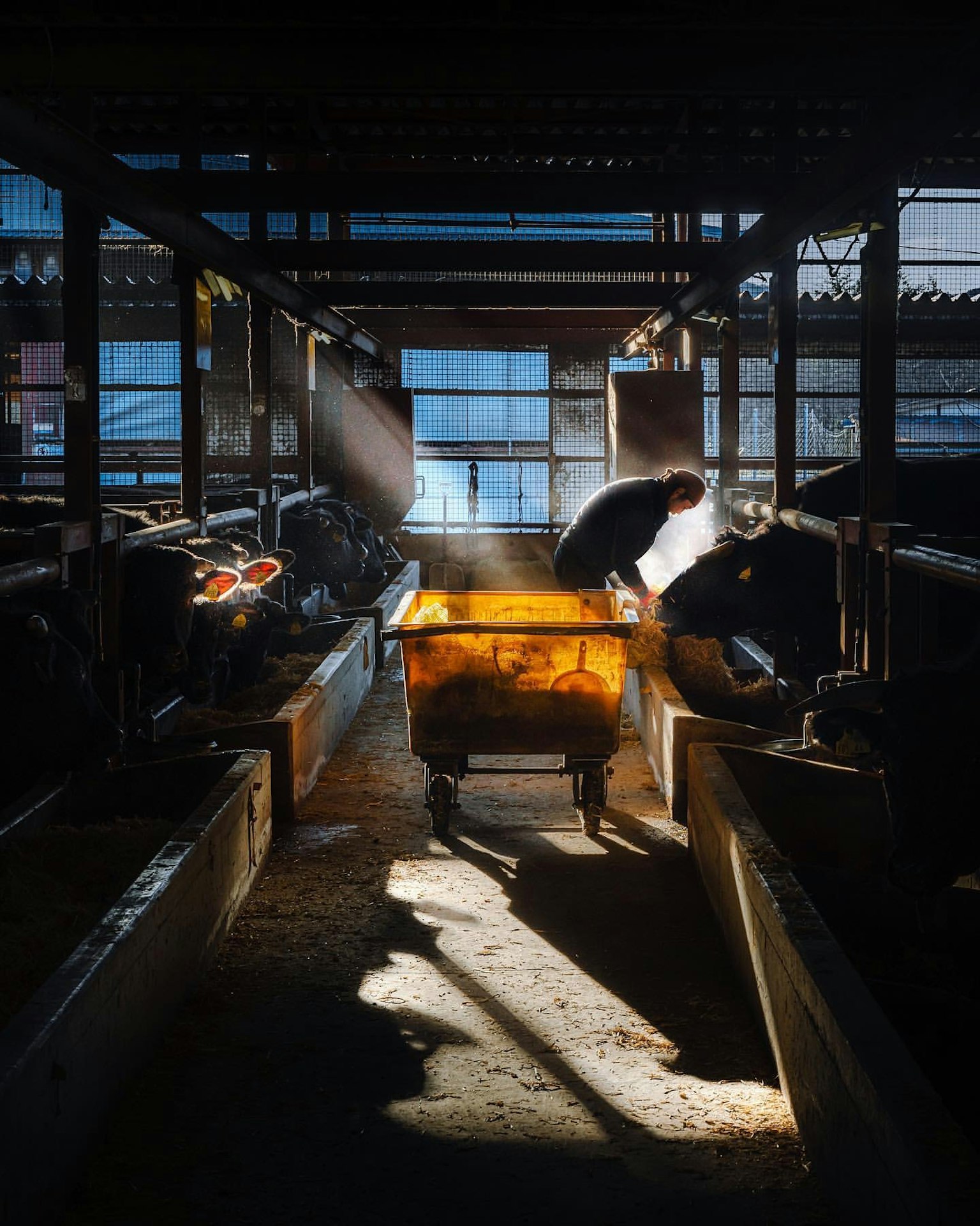 Worker in a dim workshop with a bright yellow cart