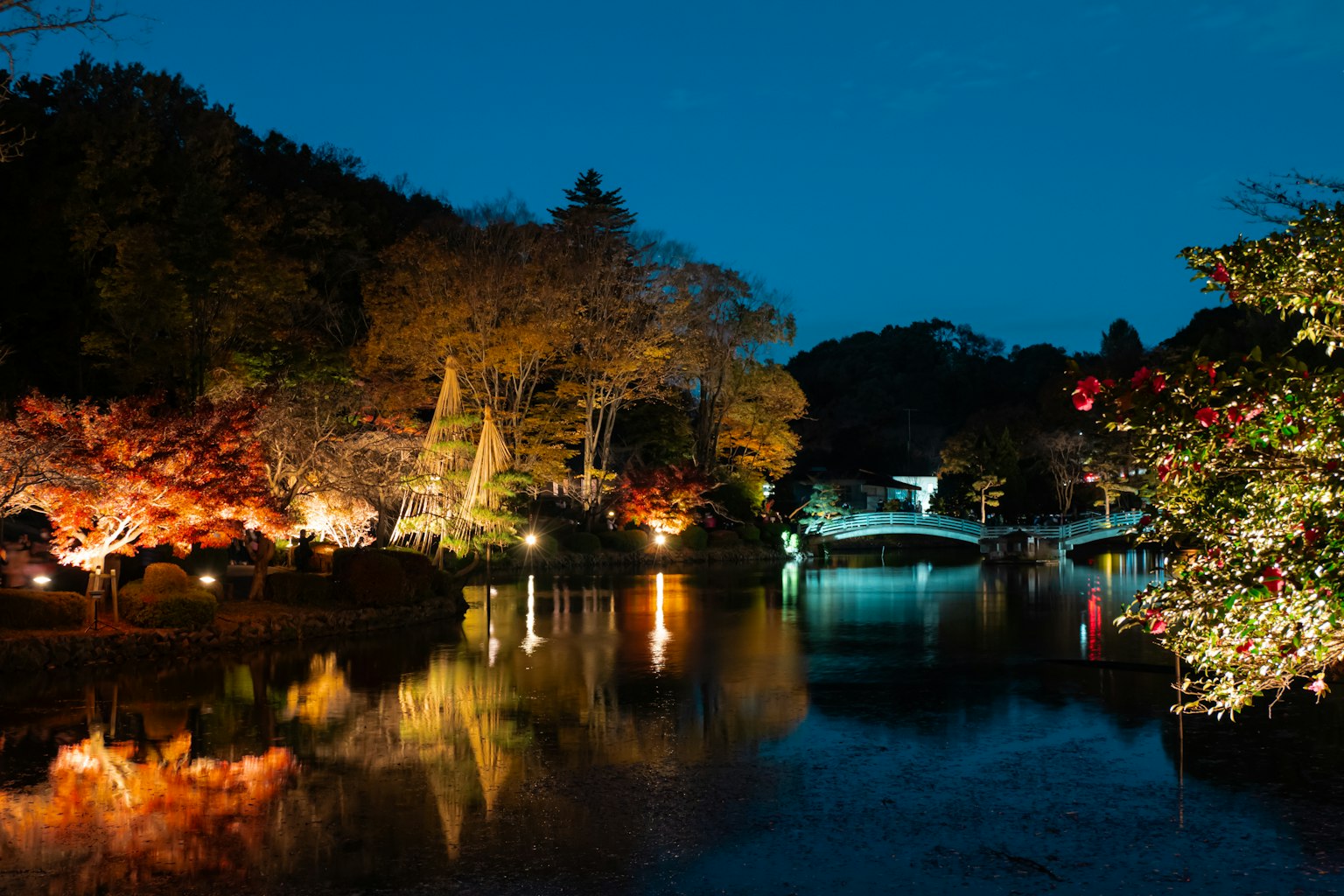 ทิวทัศน์ที่สวยงามของใบไม้เปลี่ยนสีสะท้อนในสระน้ำของสวนในเวลากลางคืน