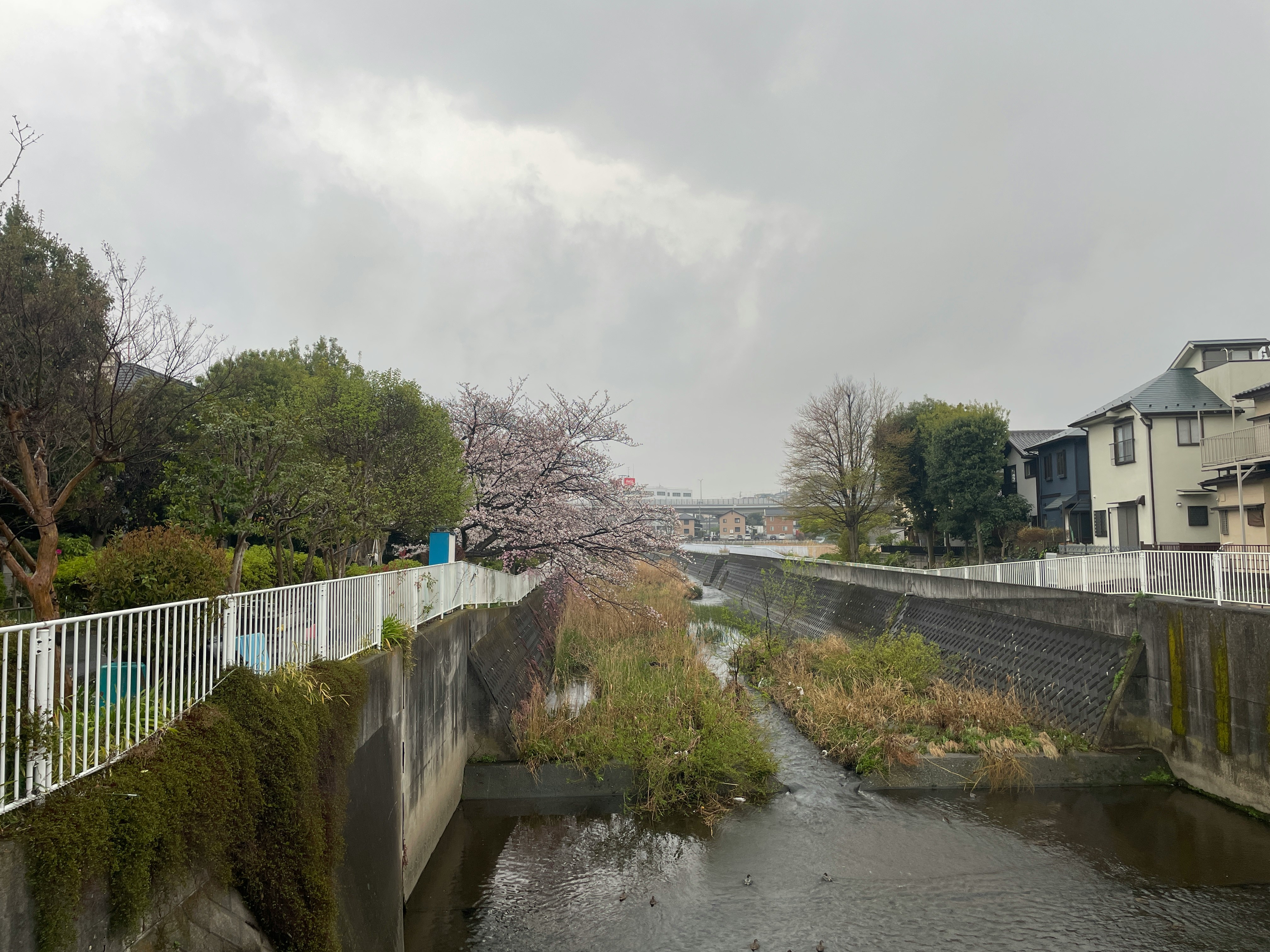 Uferpromenade am Fluss und Beton-Uferbefestigung unter bewölktem Himmel