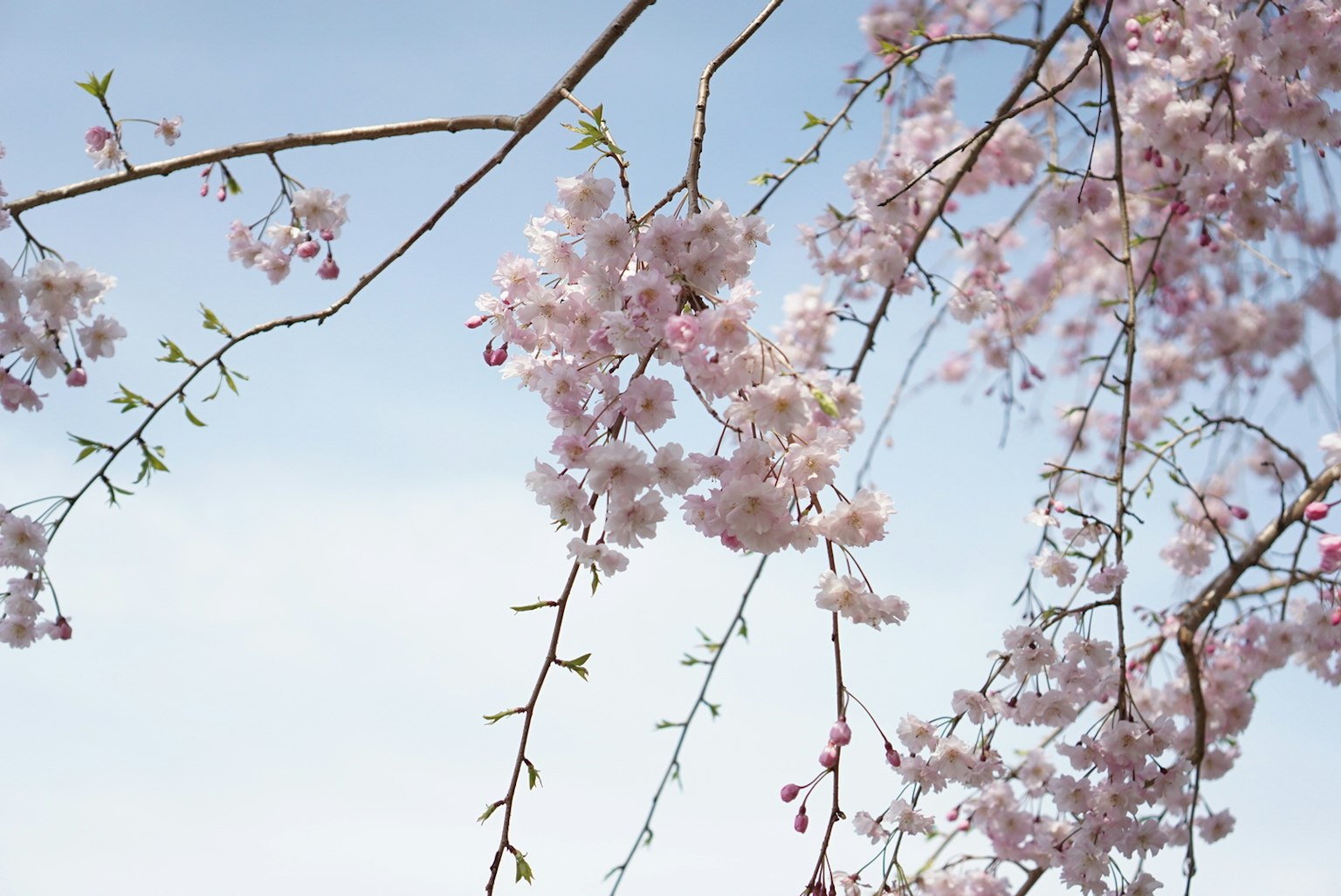 photo-HW4hSZmQr1tLuvgnkenF-image