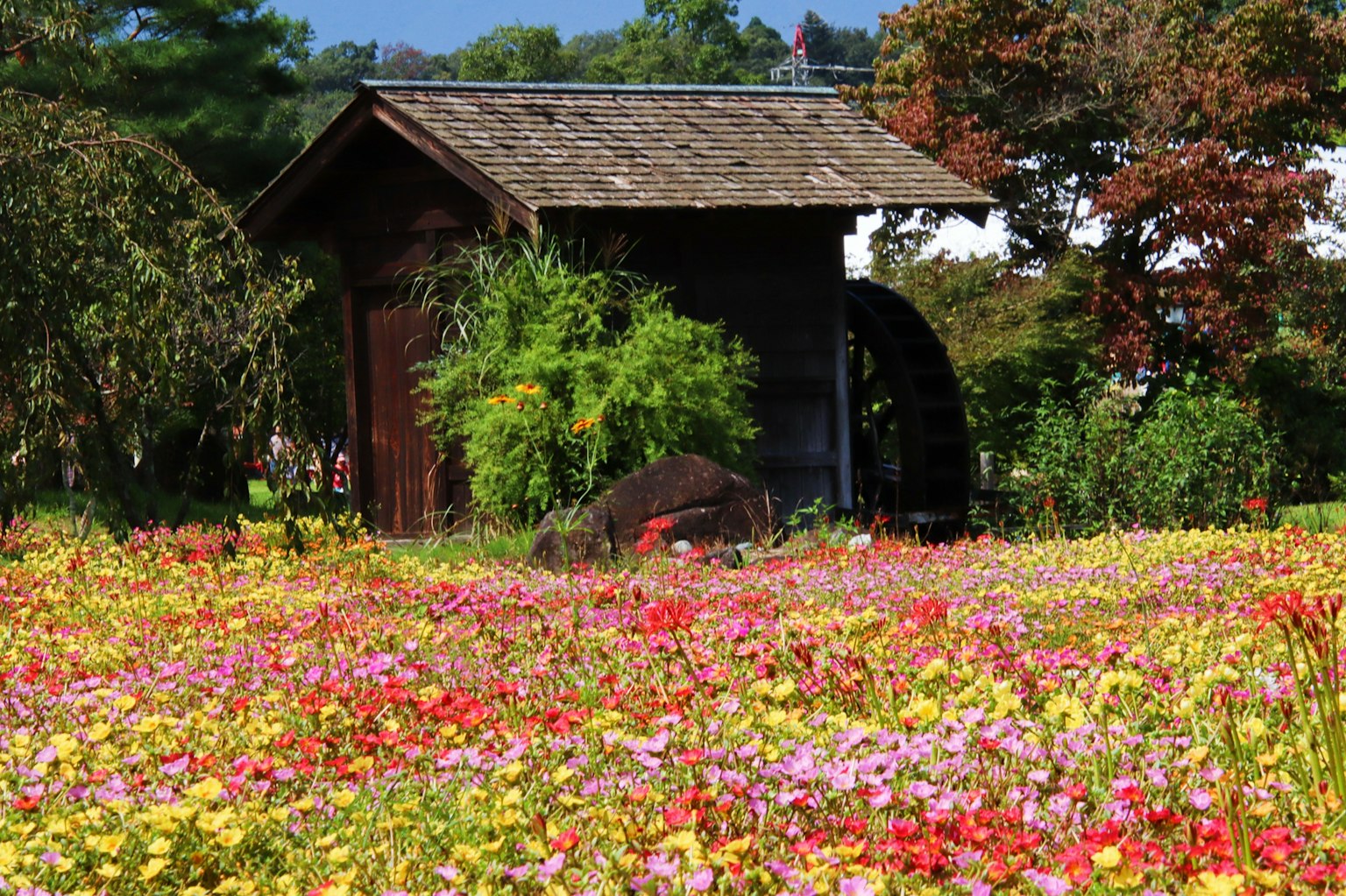 กระท่อมไม้ล้อมรอบด้วยสวนดอกไม้หลากสี