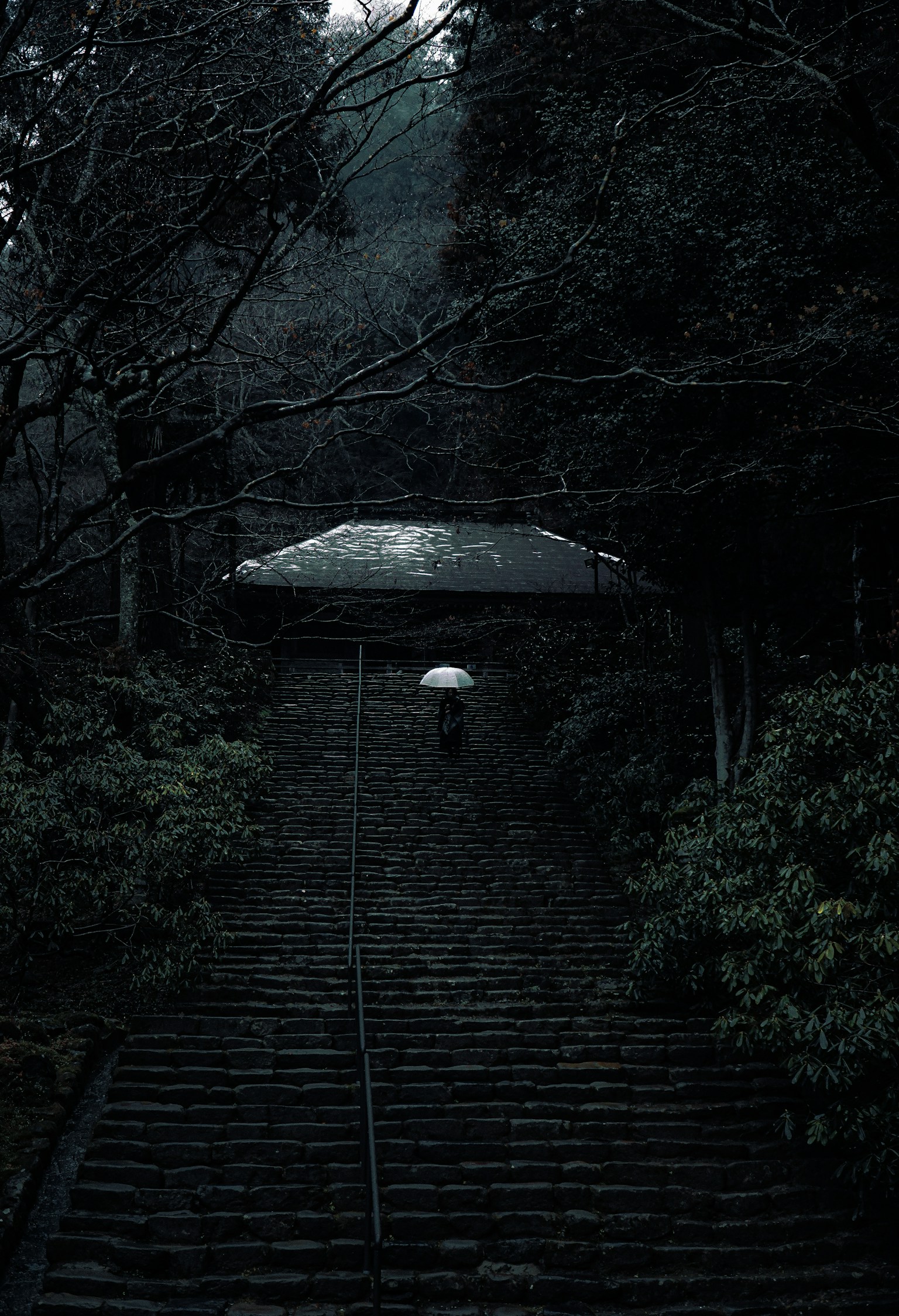 Siluet seseorang dengan payung di tangga batu di hutan gelap
