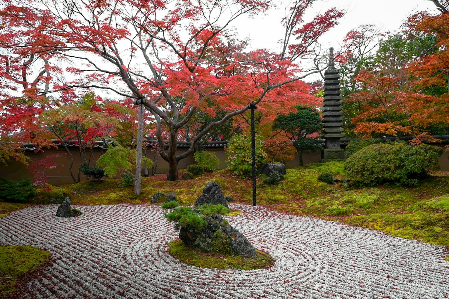 Jardin japonais pittoresque avec un feuillage d'automne vibrant entouré de pierres et de mousse