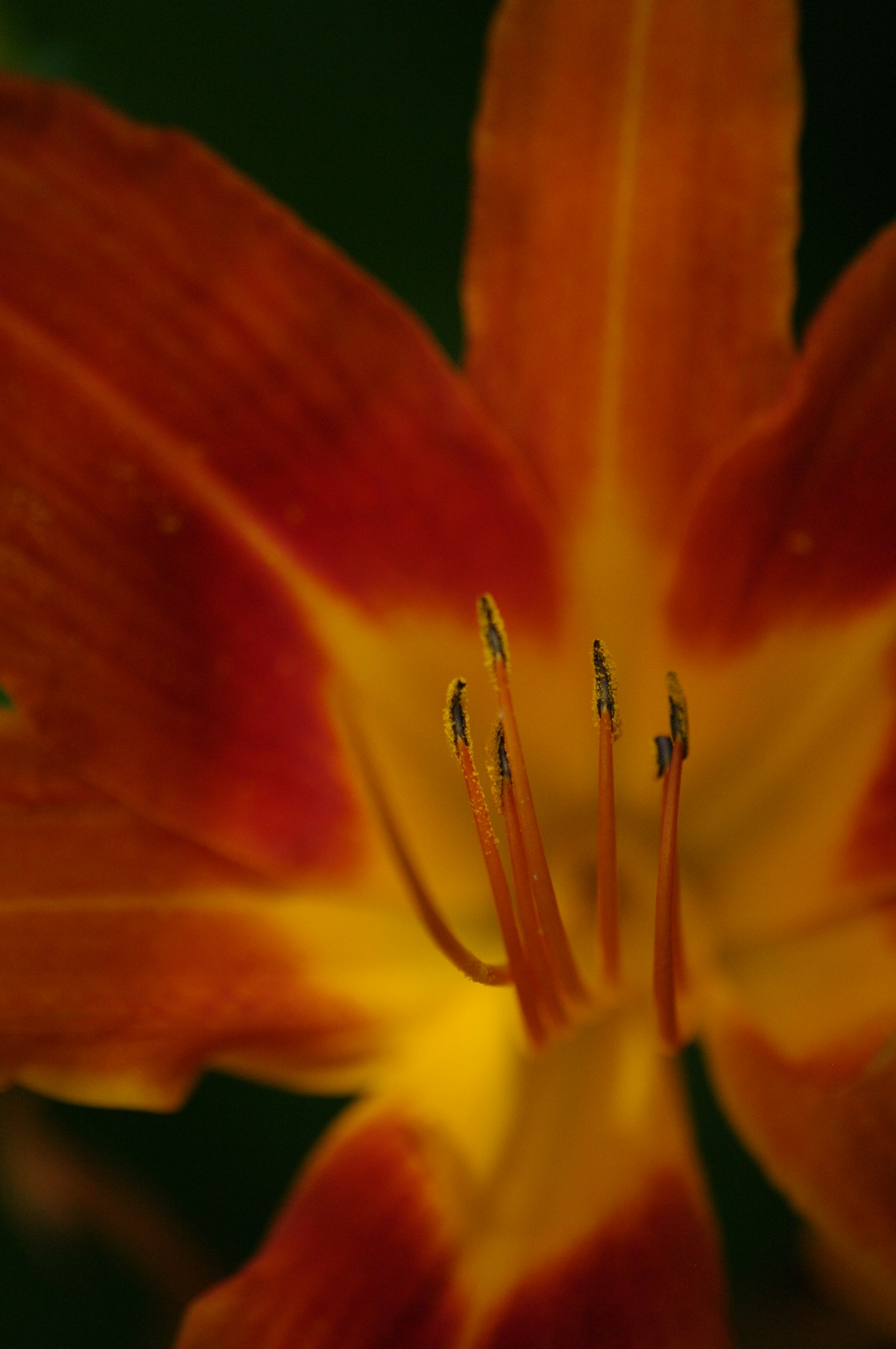 photo-HXAQcLkmjwm0xESI6wEq-image