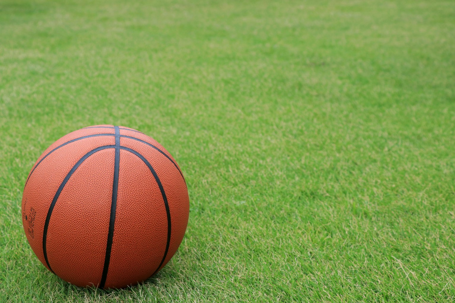 Orange basketball on green grass