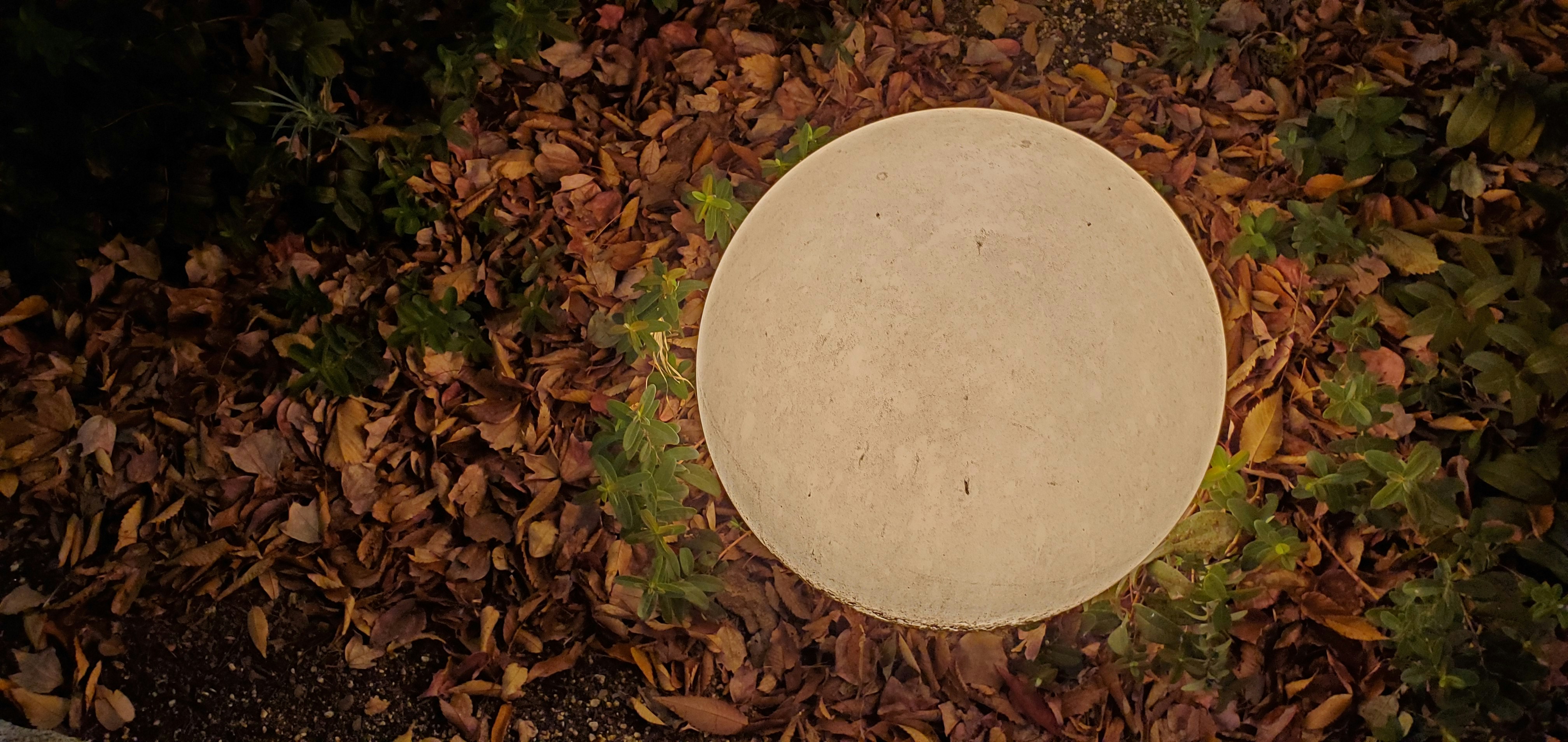 round blank plaque on fallen leaves