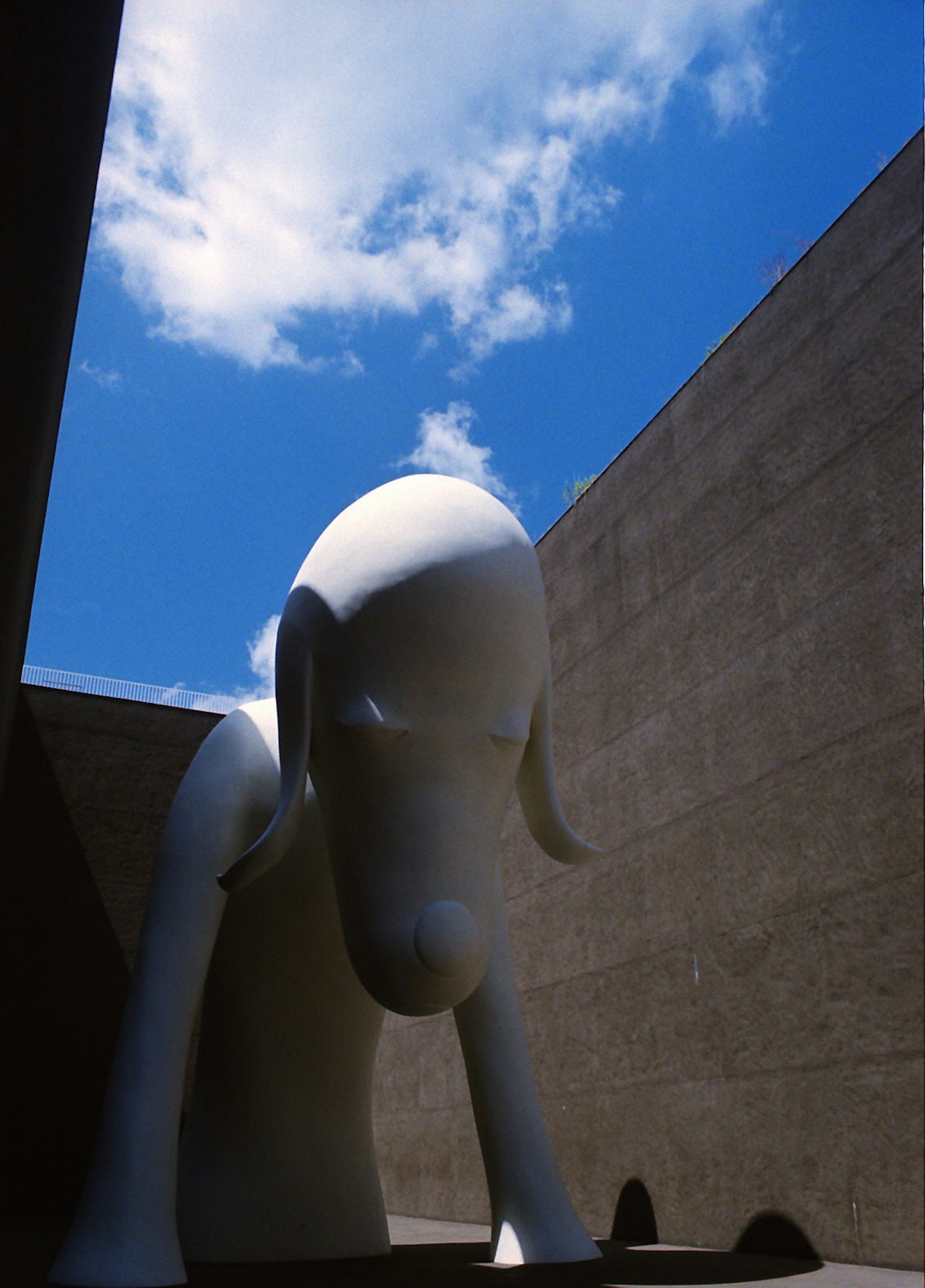 Grande scultura di cane bianco sotto un cielo blu con muri in cemento