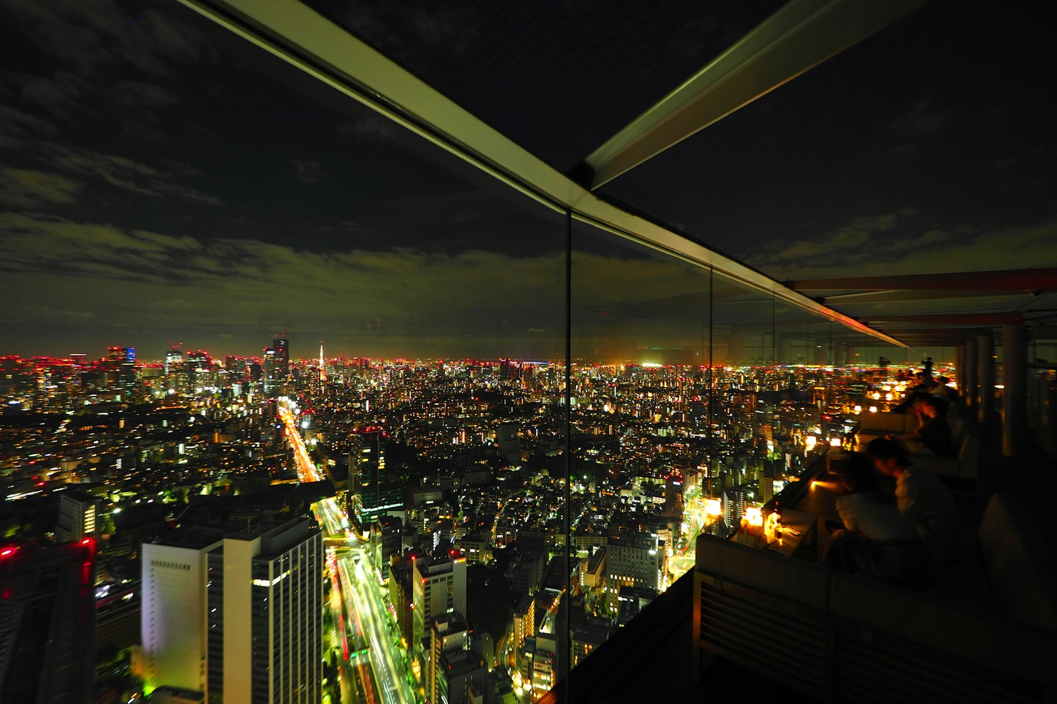 View from a high-rise observation deck overlooking Tokyo's night skyline