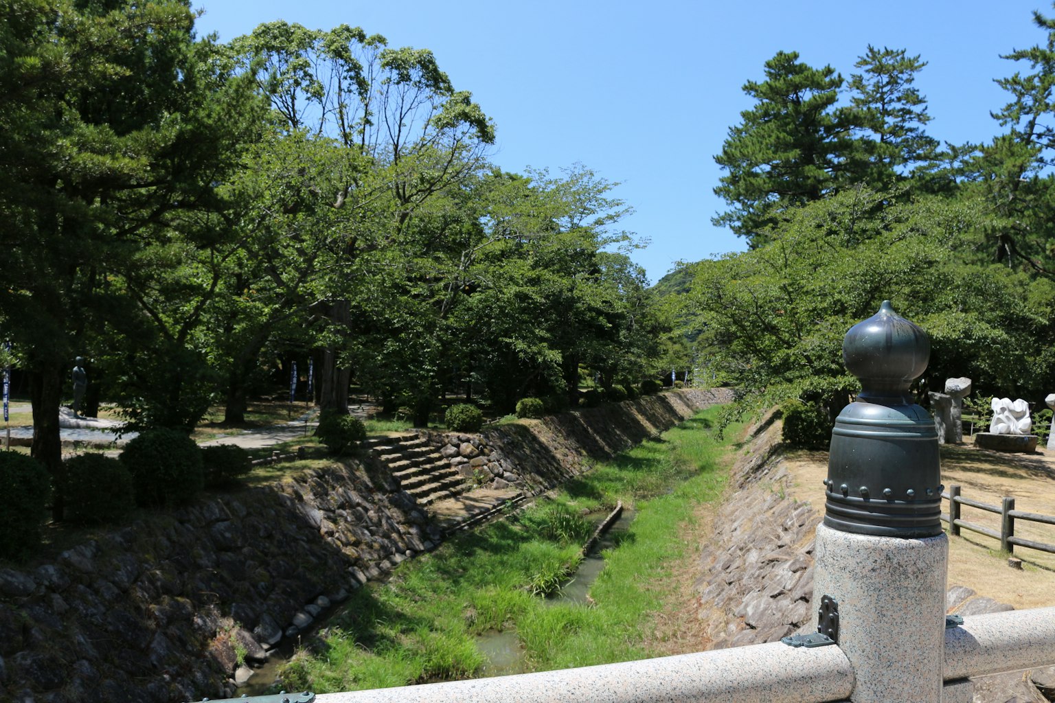 在晴朗藍天下郁鬱蔥蔥的公園和河流的風景