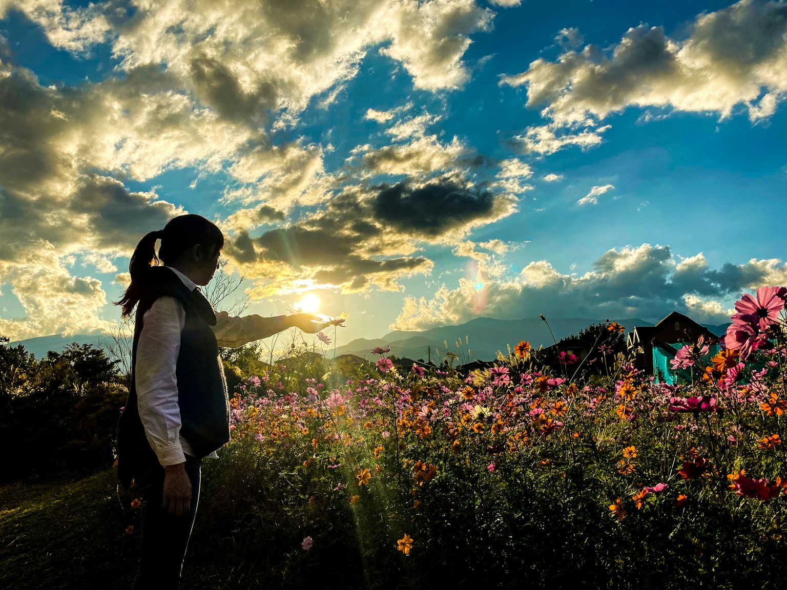 女人指著夕陽，旁邊是色彩繽紛的花田