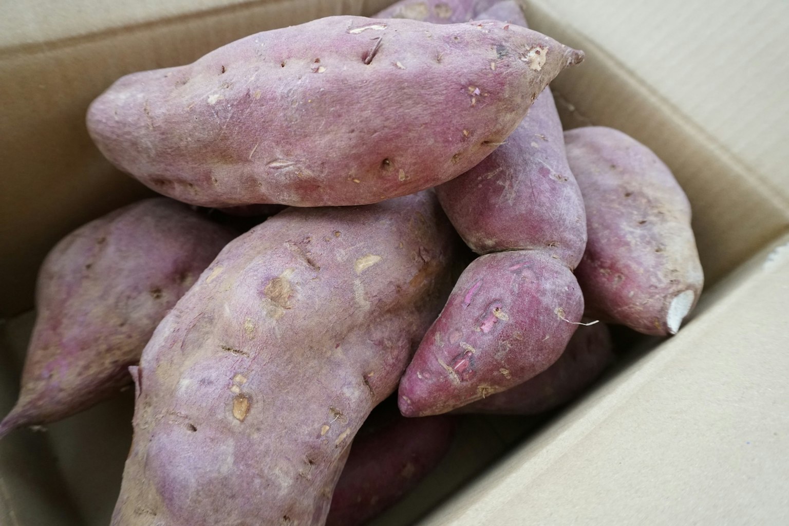 Diverse patate dolci disposte all'interno di una scatola di cartone