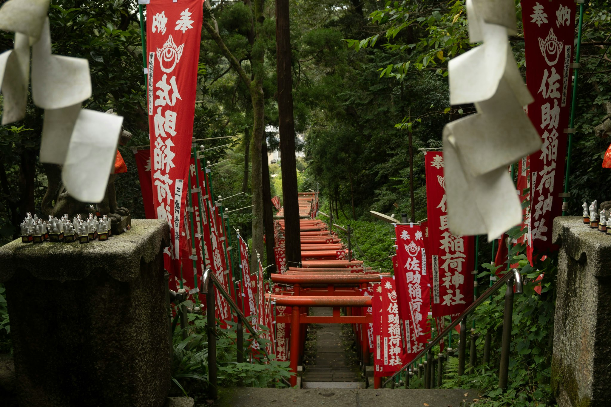 森林小径两侧的红色祈愿旗与石灯笼