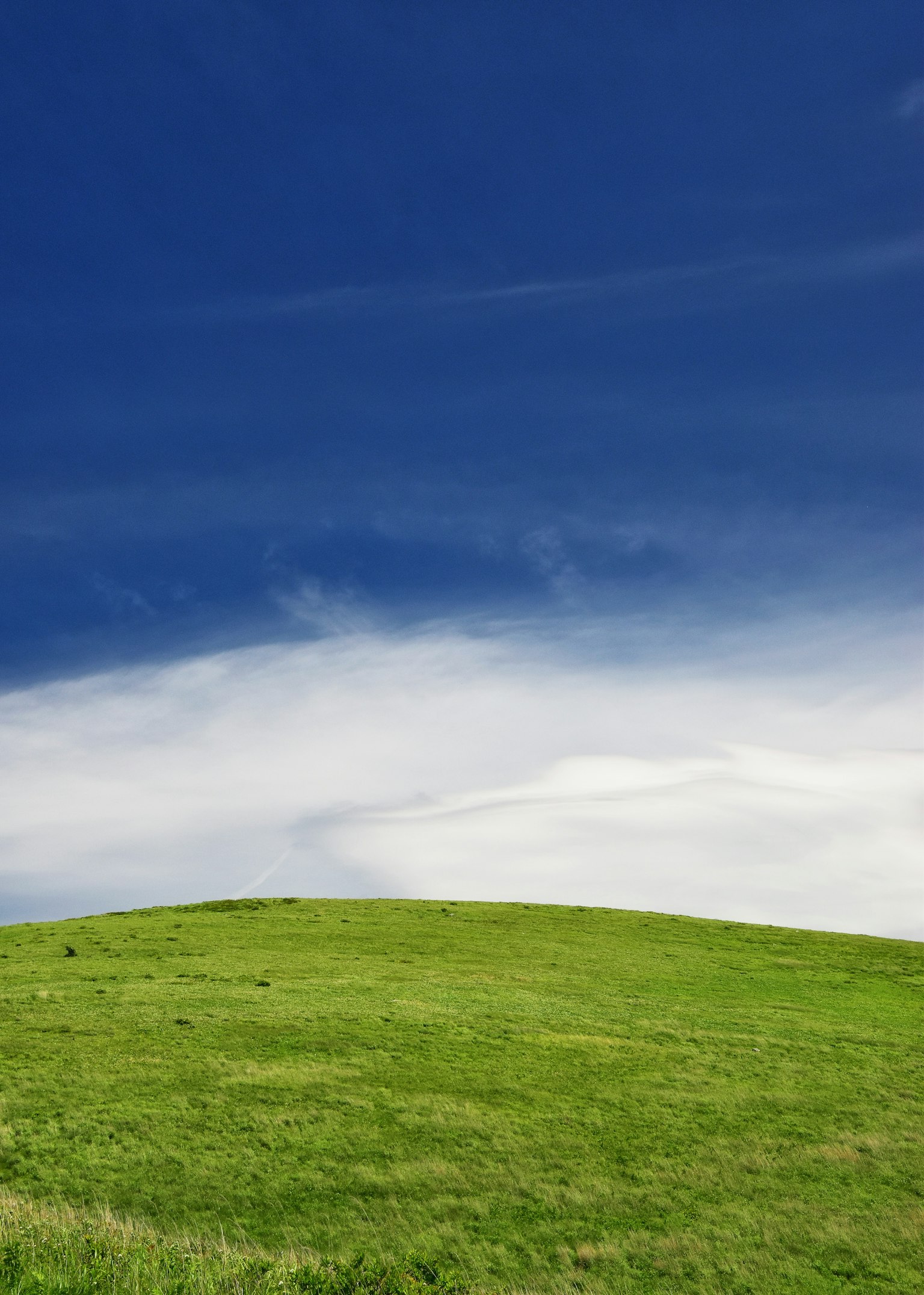 Colina verde bajo un cielo azul con nubes blancas