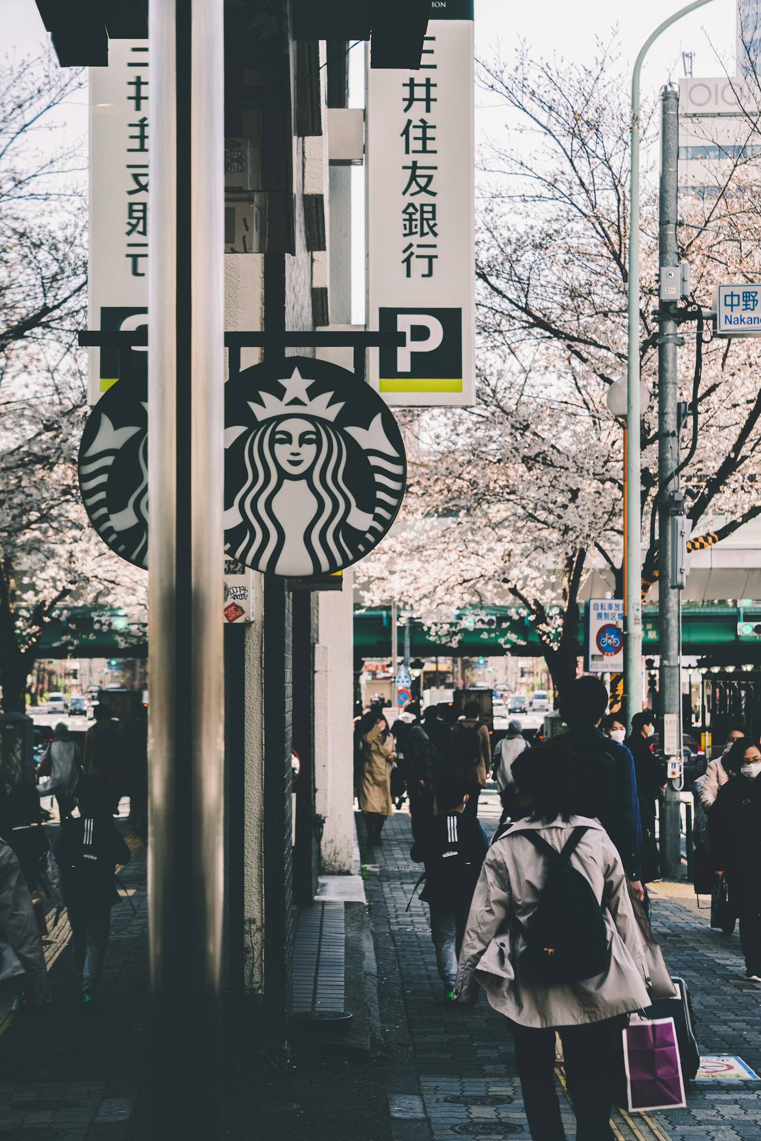 Orang-orang berjalan di bawah pohon sakura dengan papan Starbucks