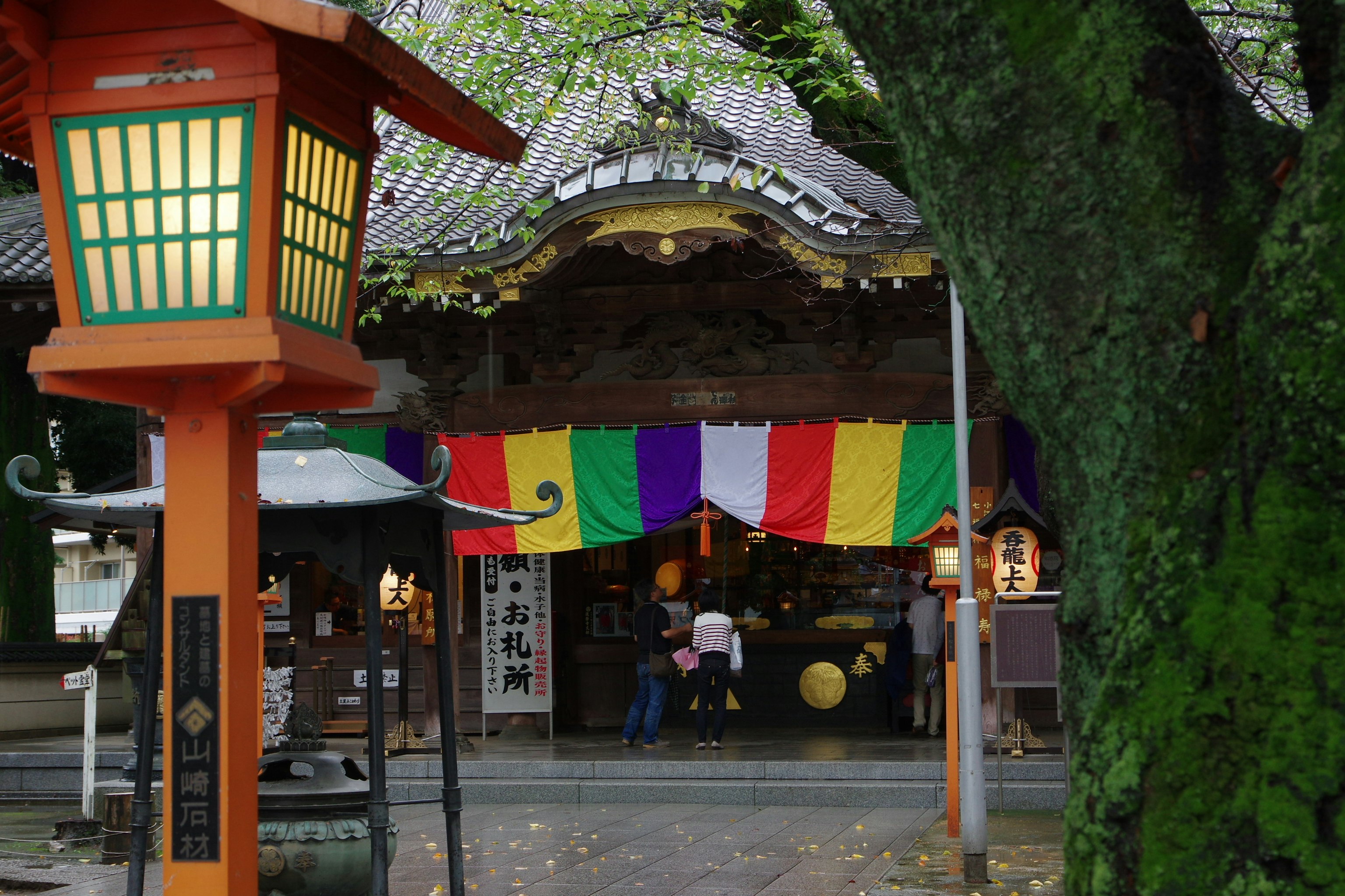 緑の木々に囲まれた神社の参道と提灯