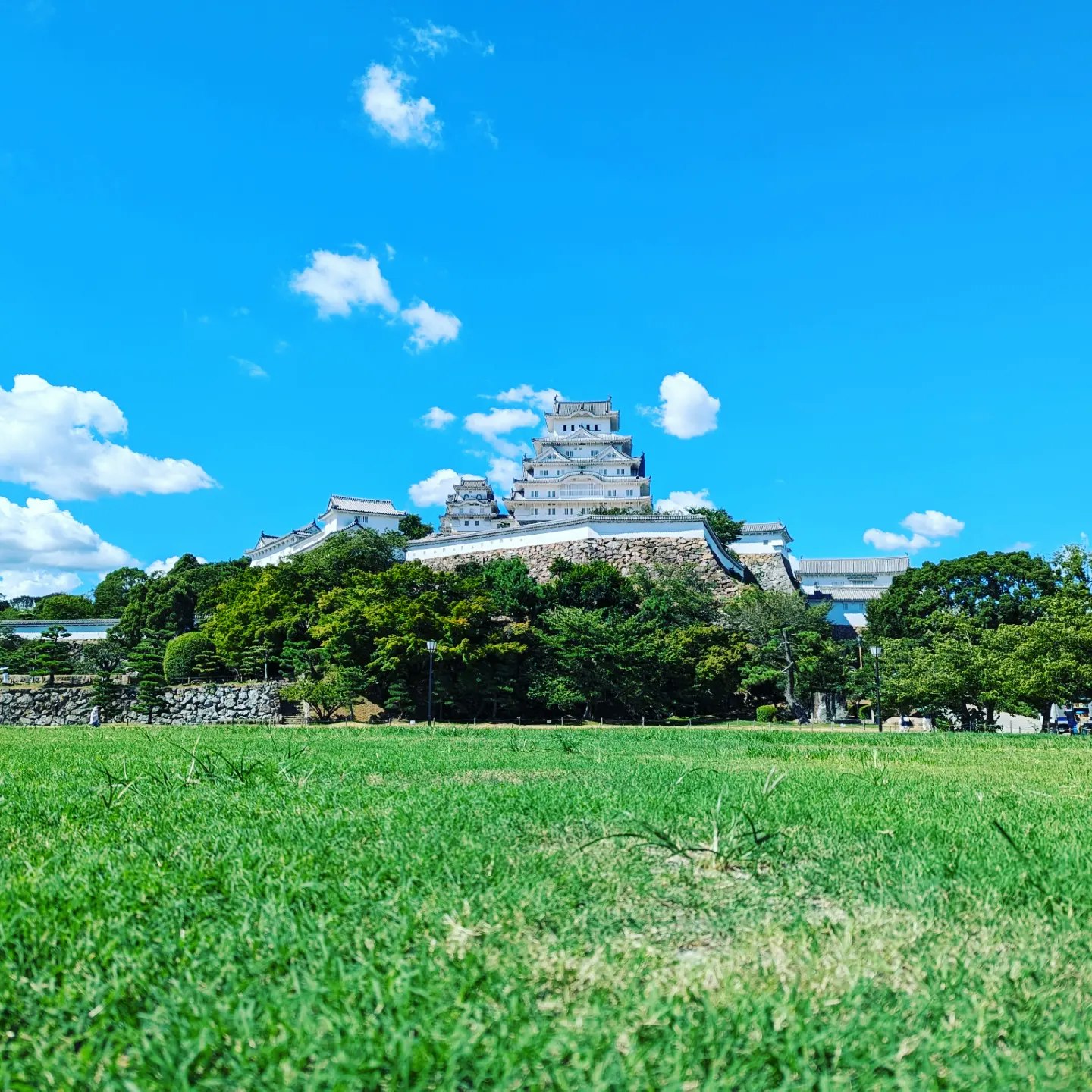 夏の姫路城を望む緑の草地と青空