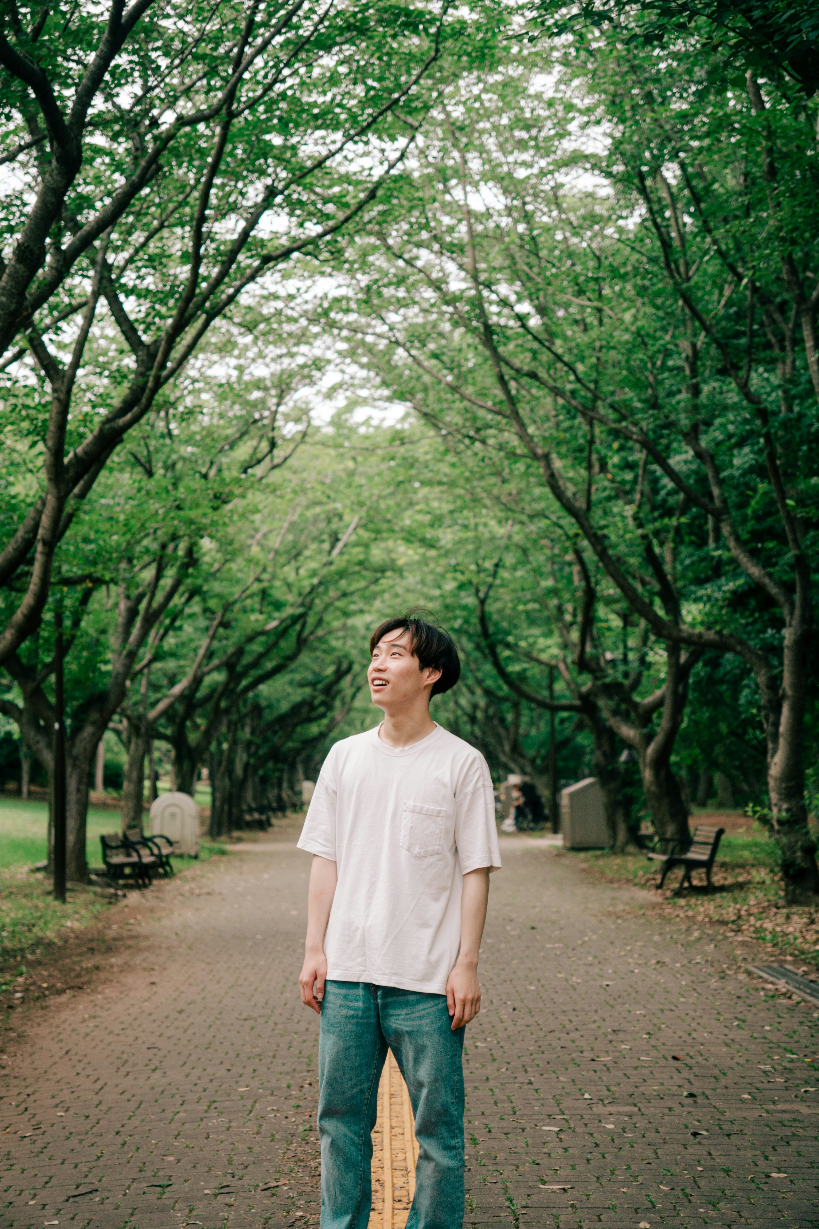 並木道を歩く男性の後ろ姿
