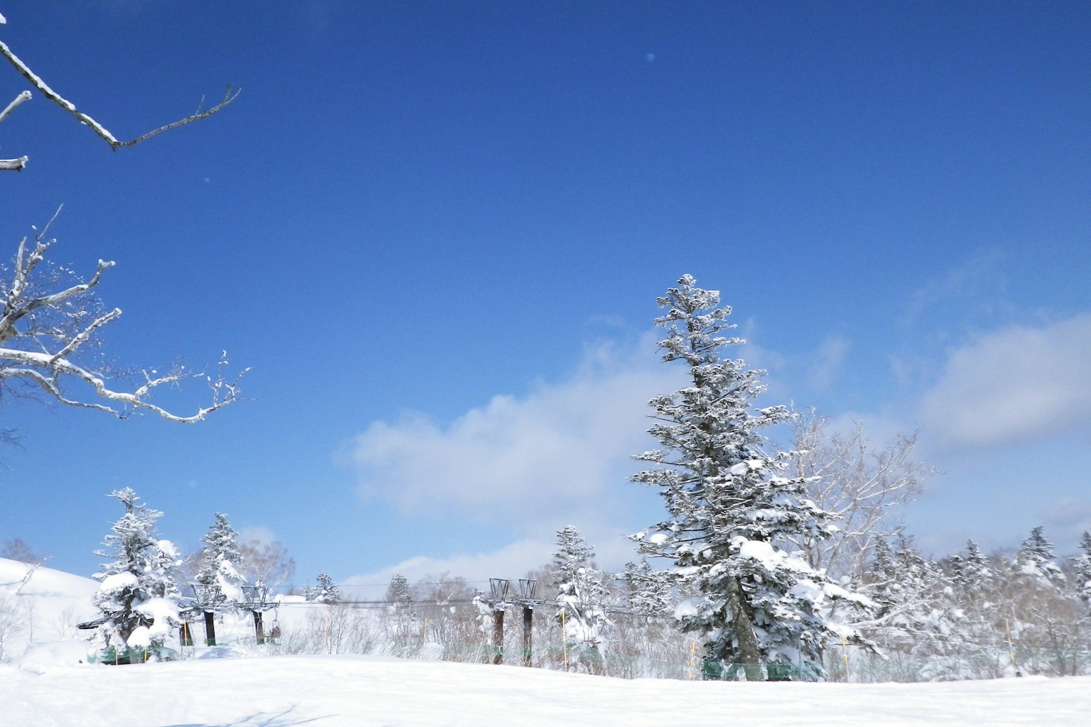 Beau paysage d'hiver avec des arbres enneigés et un ciel bleu