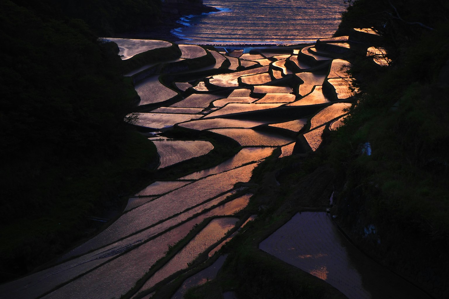 ทุ่งนาขั้นบันไดที่สวยงามในแสงยามเย็น