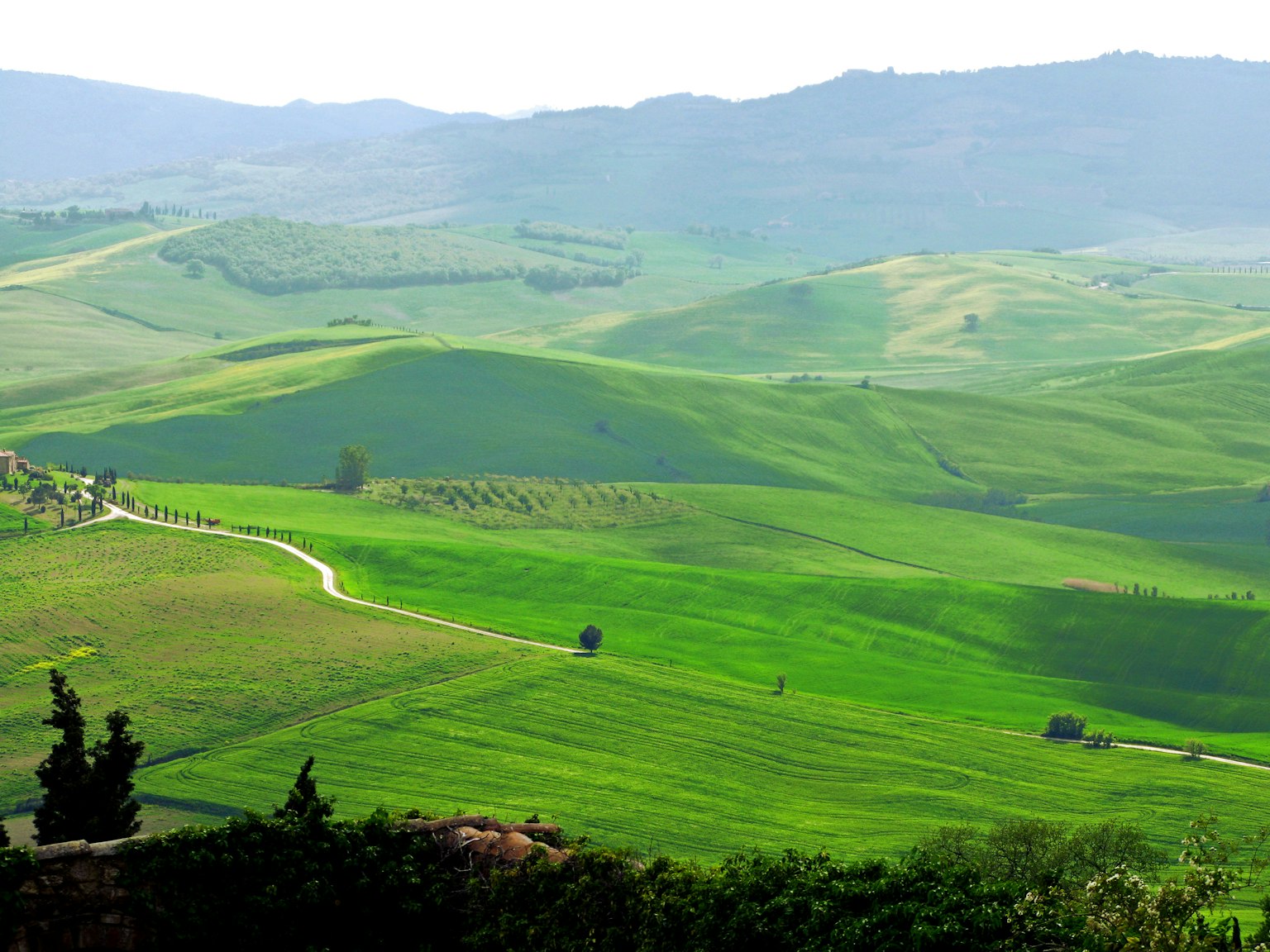 Paisaje escénico de colinas verdes y un camino sinuoso