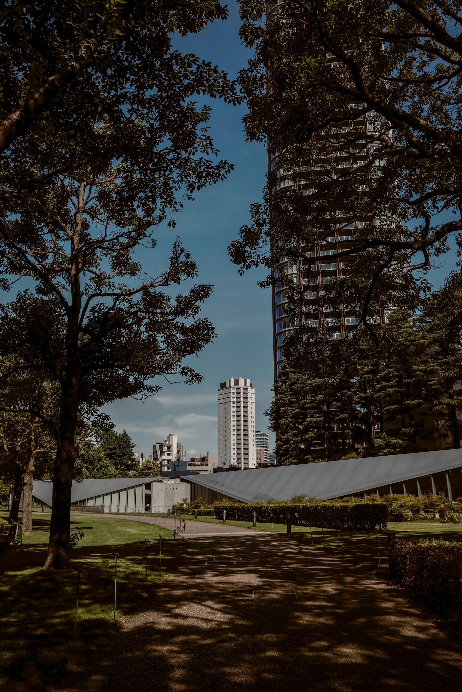 푸른 하늘 아래 높은 건물과 무성한 녹지가 있는 도시 공원 풍경