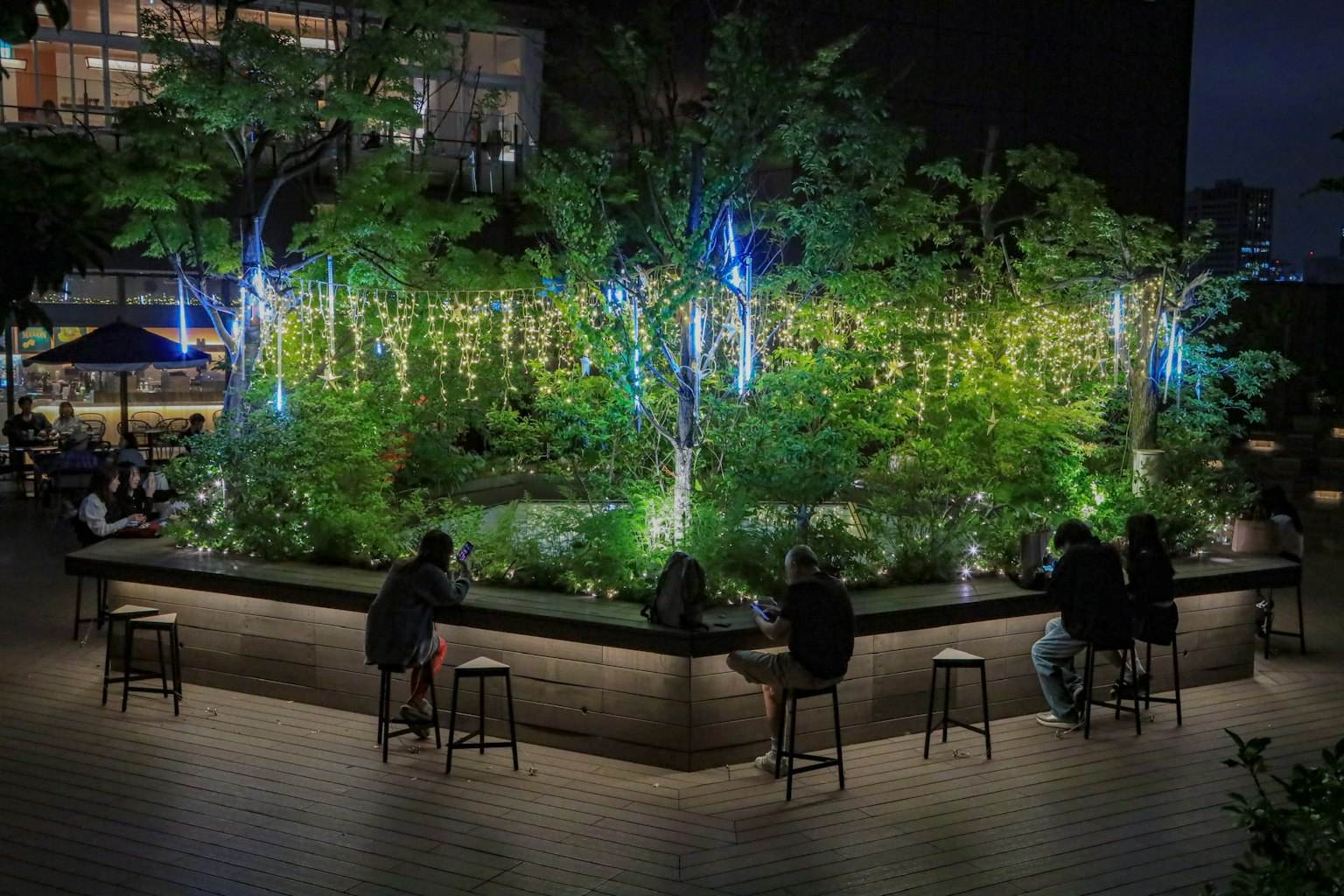 夜间照明的郁郁葱葱花园中坐着的人们