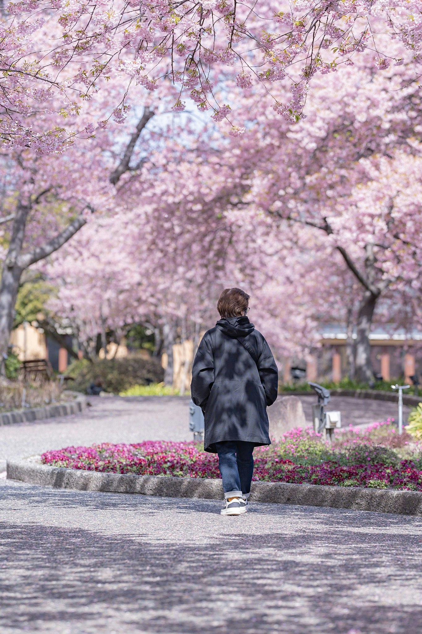 桜並木の小道を母と歩く春の思い出